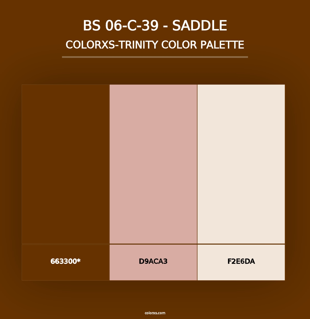 BS 06-C-39 - Saddle - Colorxs Trinity Palette