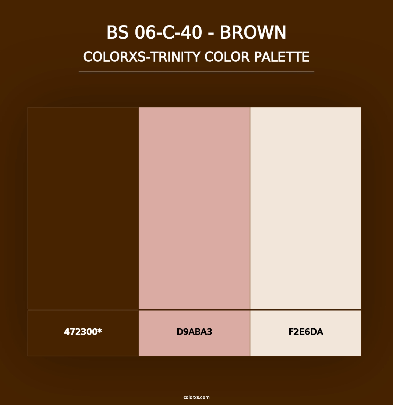 BS 06-C-40 - Brown - Colorxs Trinity Palette