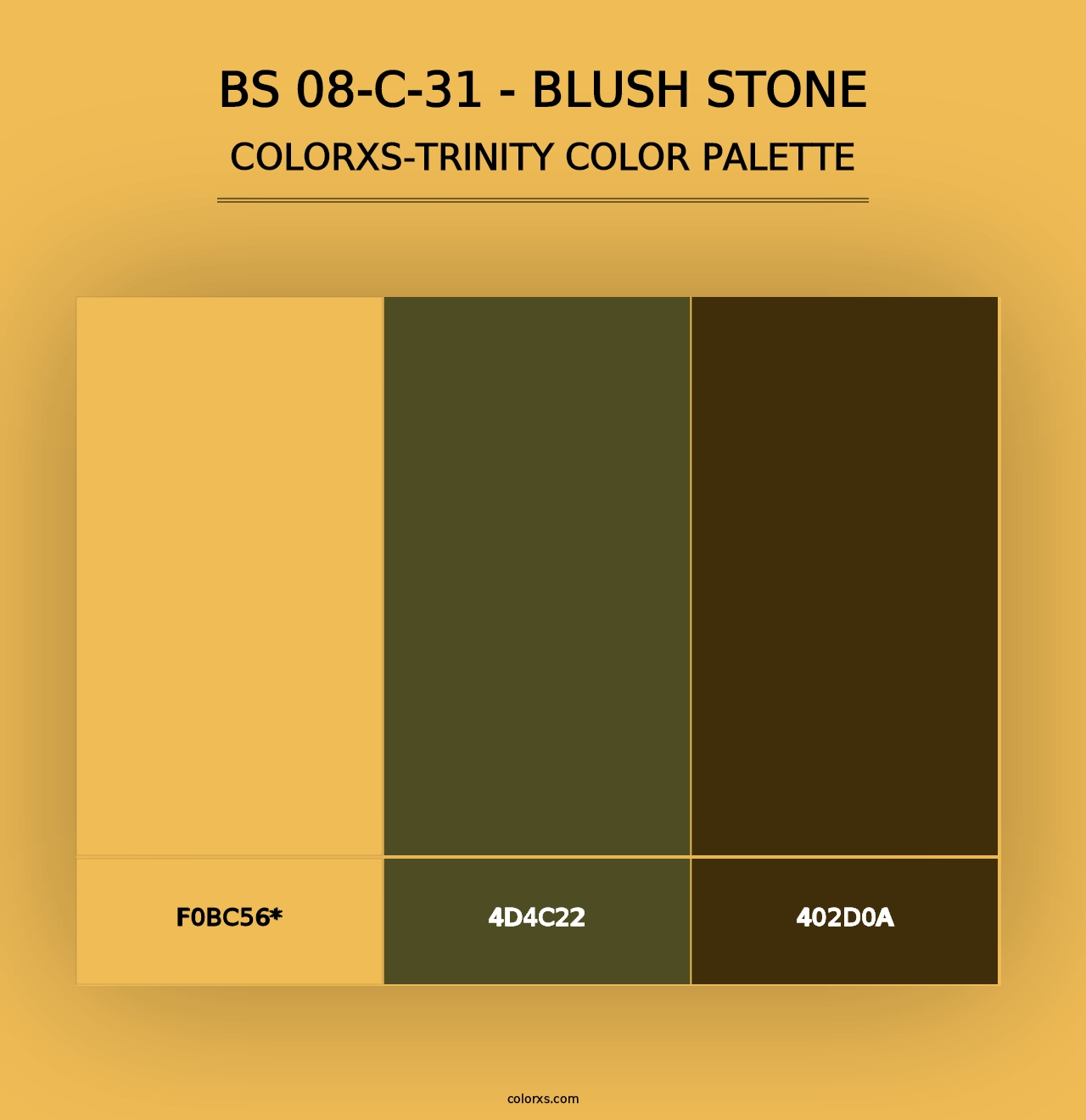 BS 08-C-31 - Blush Stone - Colorxs Trinity Palette