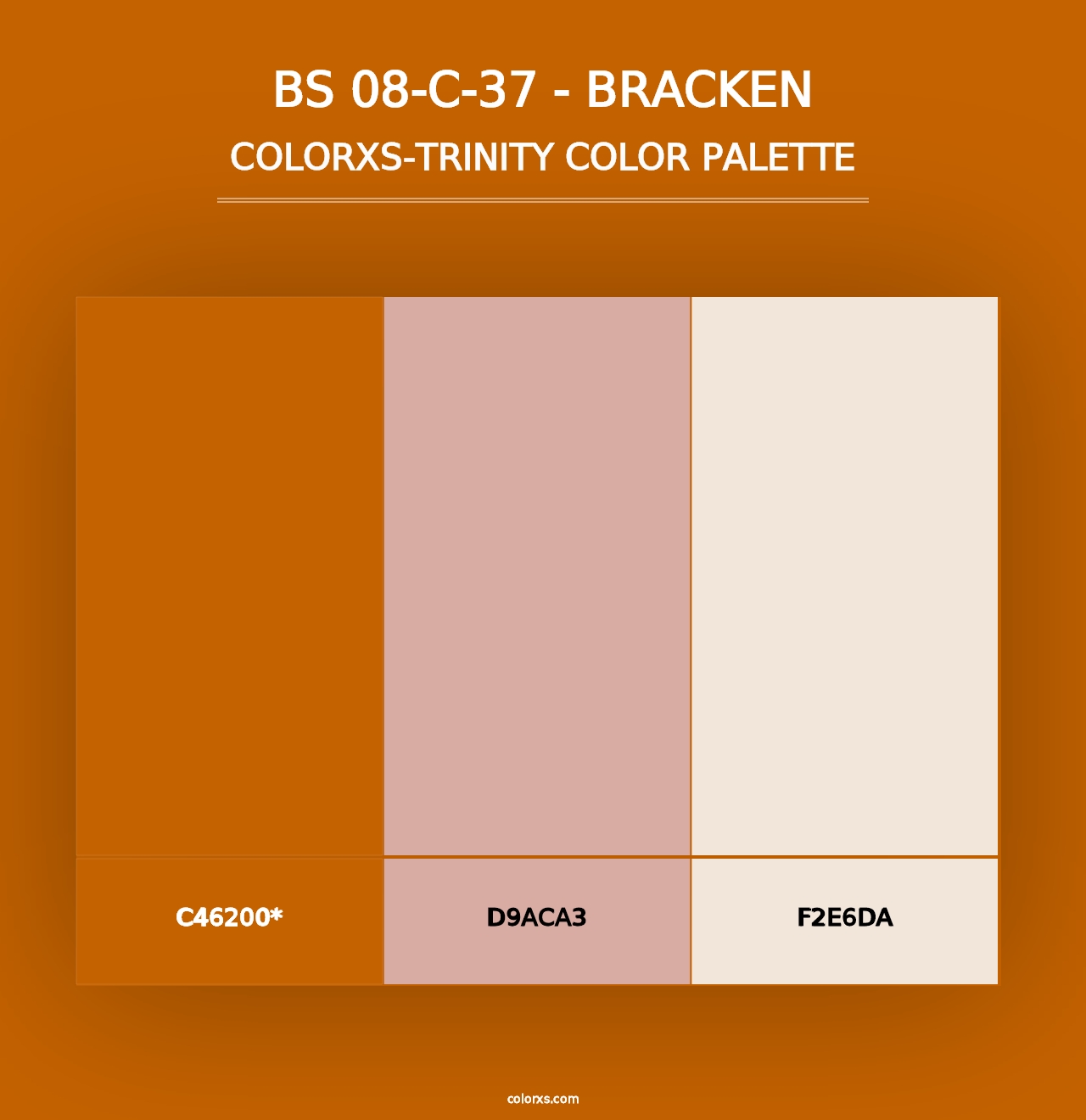 BS 08-C-37 - Bracken - Colorxs Trinity Palette