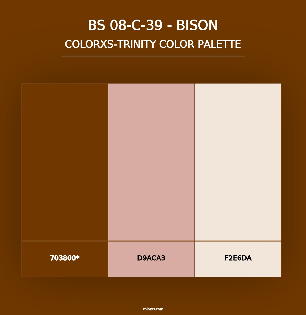 BS 08-C-39 - Bison - Colorxs Trinity Palette