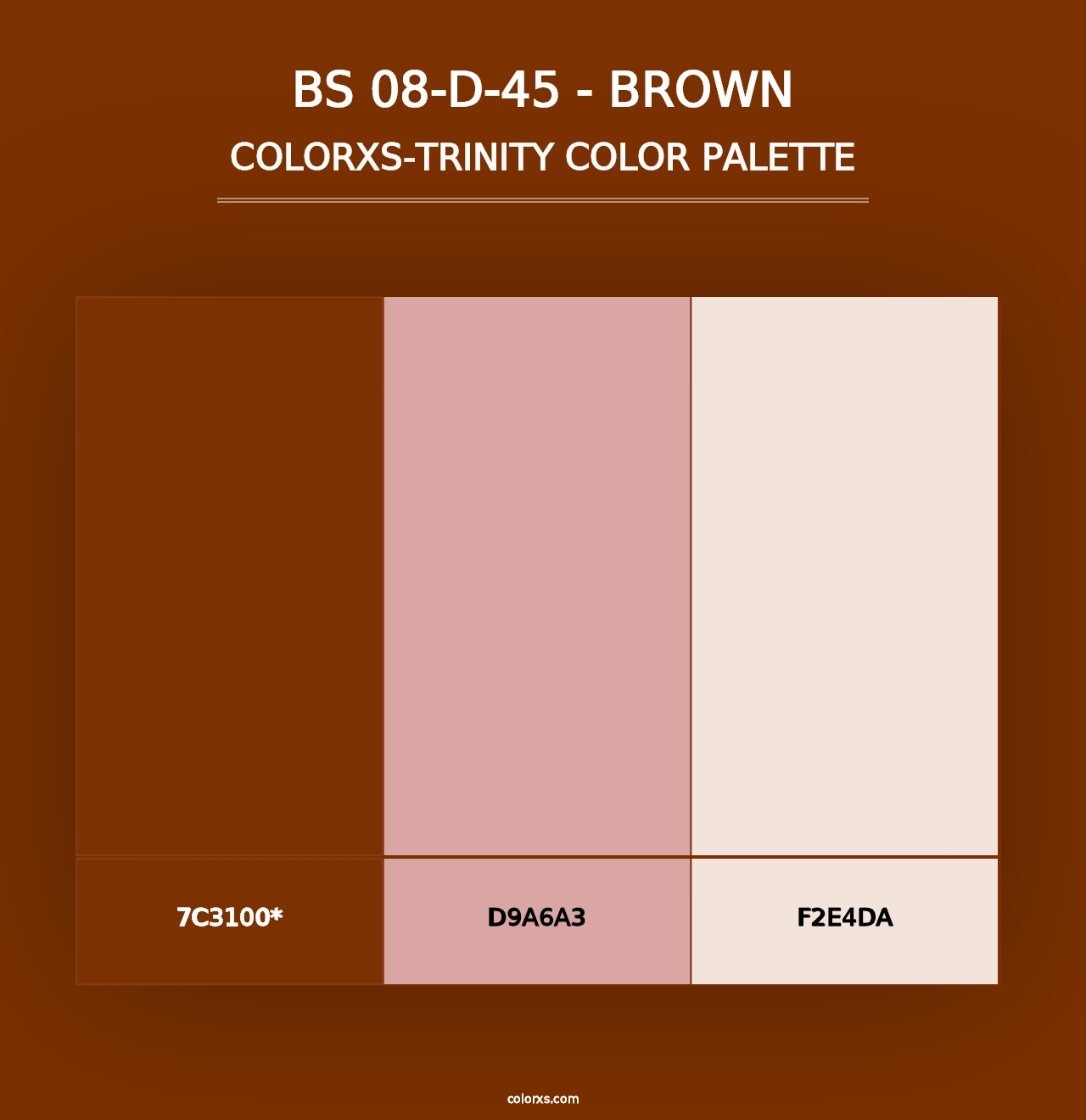 BS 08-D-45 - Brown - Colorxs Trinity Palette