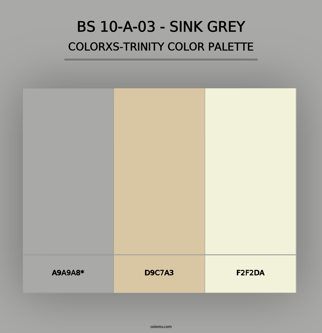 BS 10-A-03 - Sink Grey - Colorxs Trinity Palette