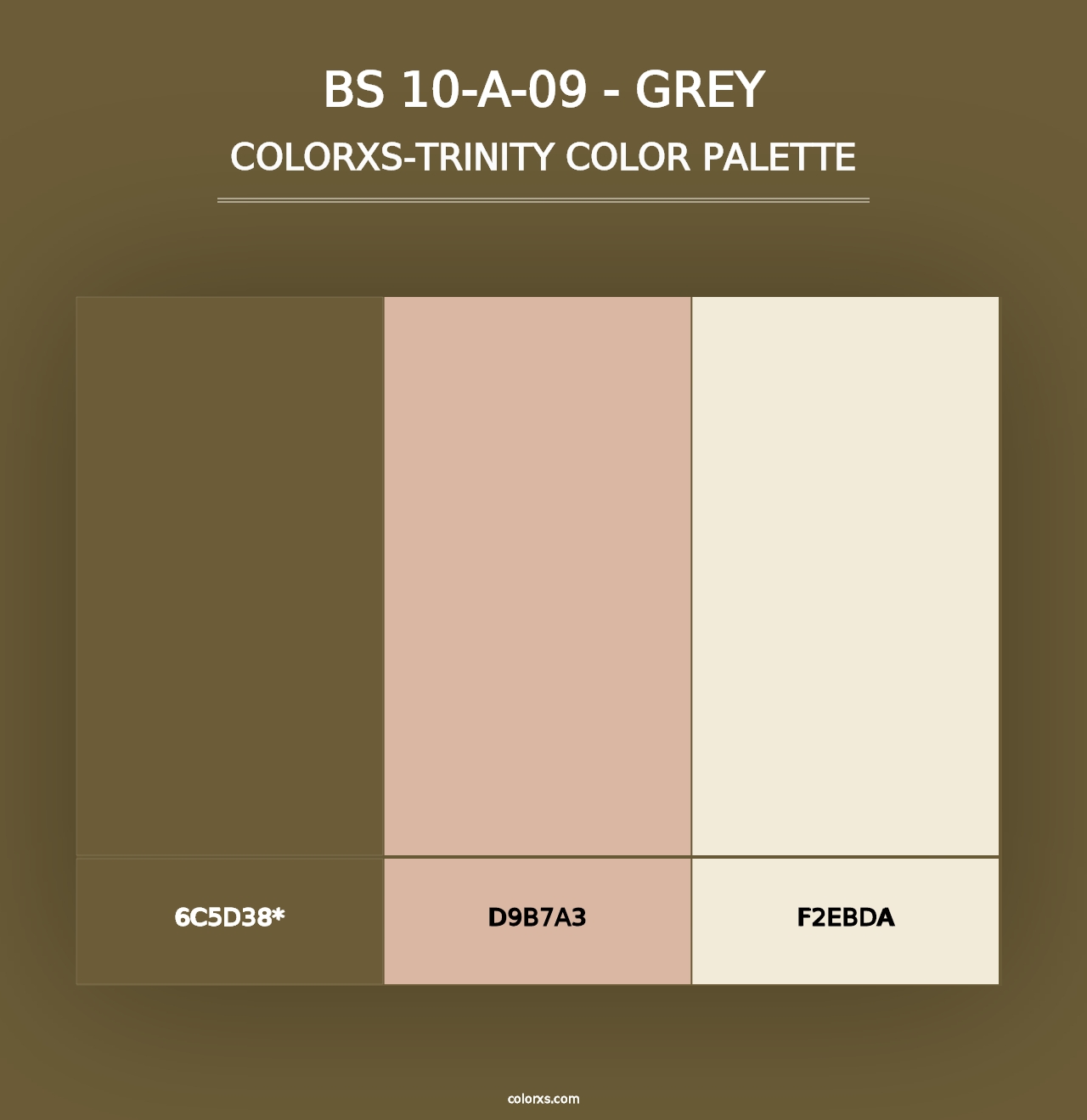 BS 10-A-09 - Grey - Colorxs Trinity Palette