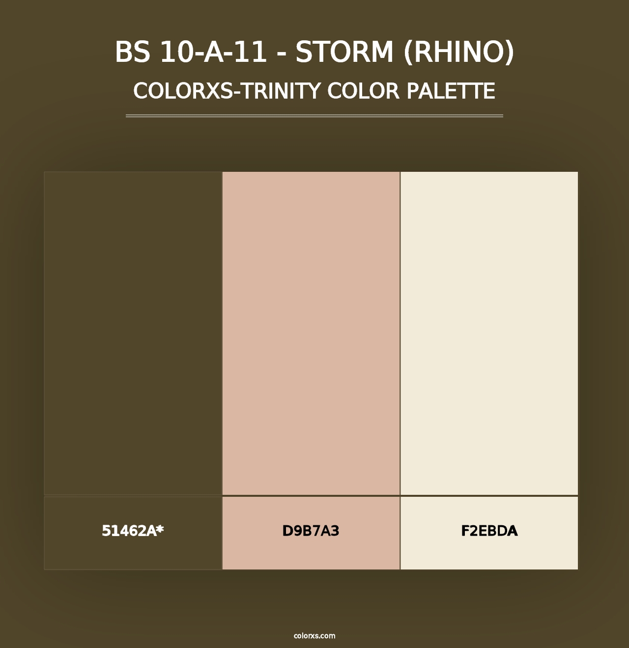 BS 10-A-11 - Storm (Rhino) - Colorxs Trinity Palette