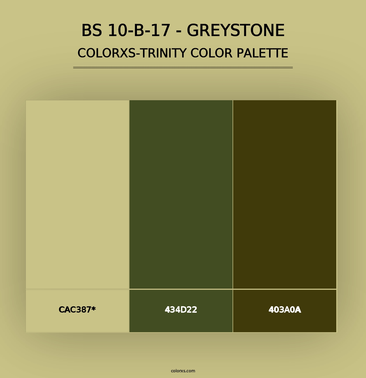 BS 10-B-17 - Greystone - Colorxs Trinity Palette