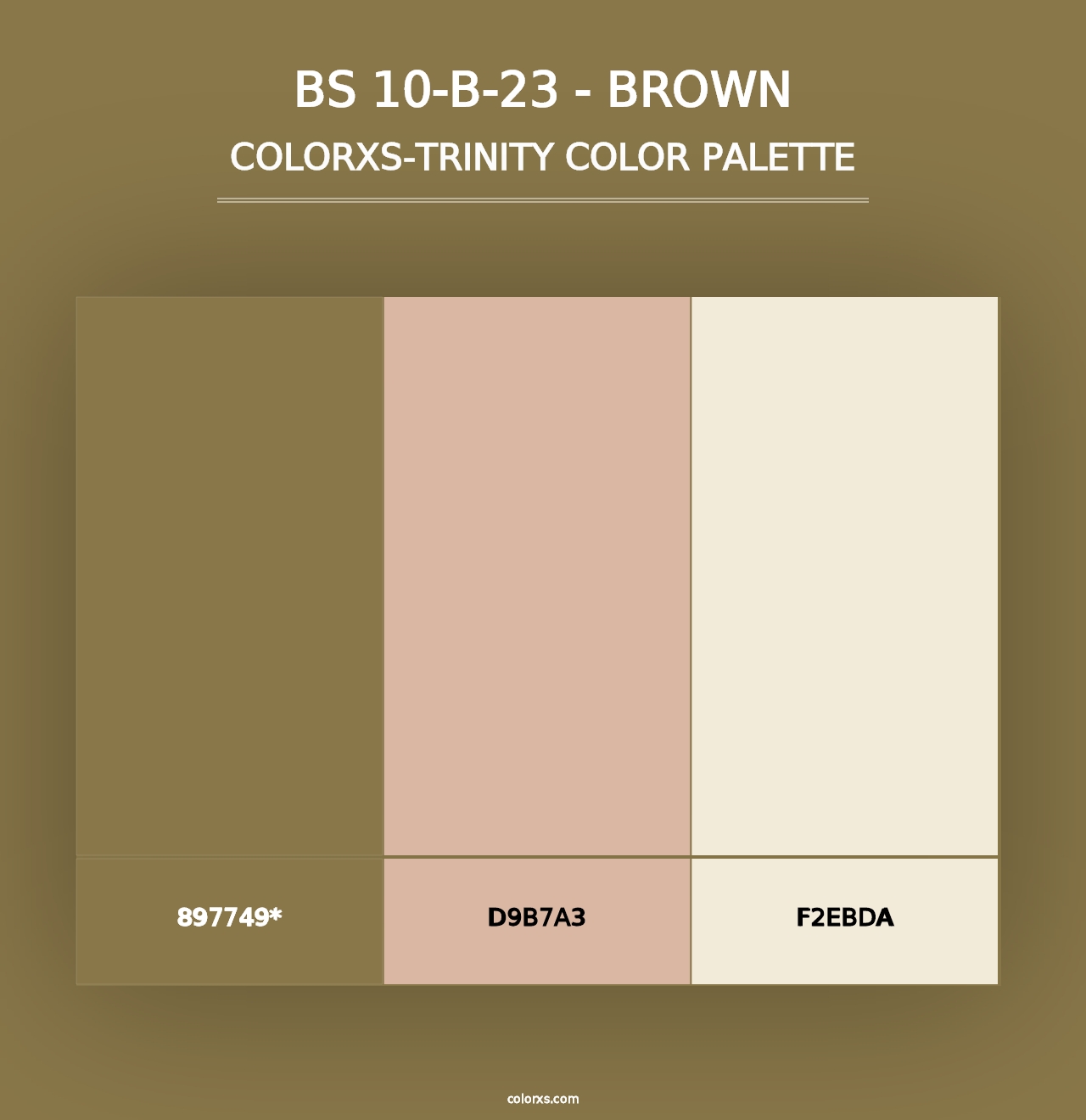 BS 10-B-23 - Brown - Colorxs Trinity Palette