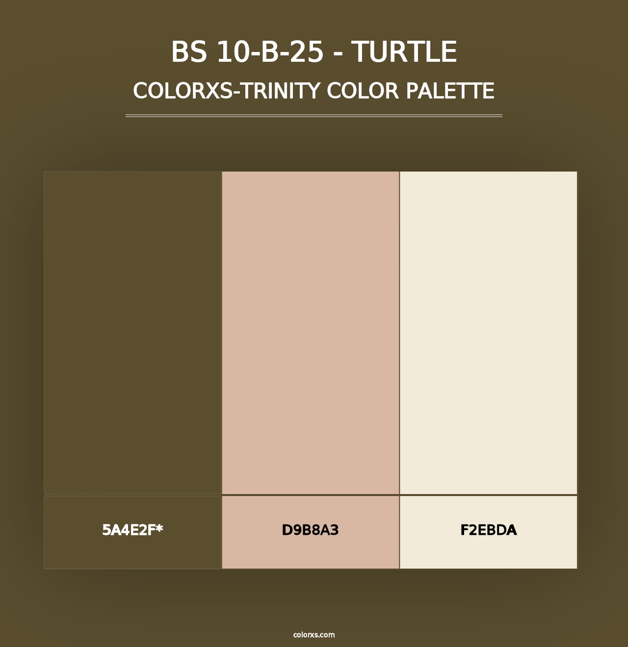 BS 10-B-25 - Turtle - Colorxs Trinity Palette