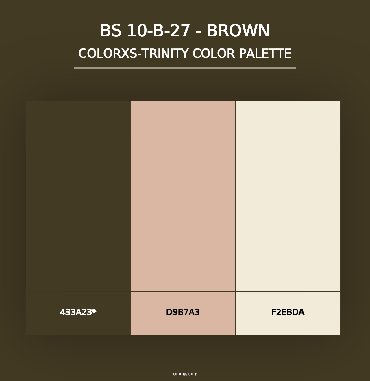 BS 10-B-27 - Brown - Colorxs Trinity Palette