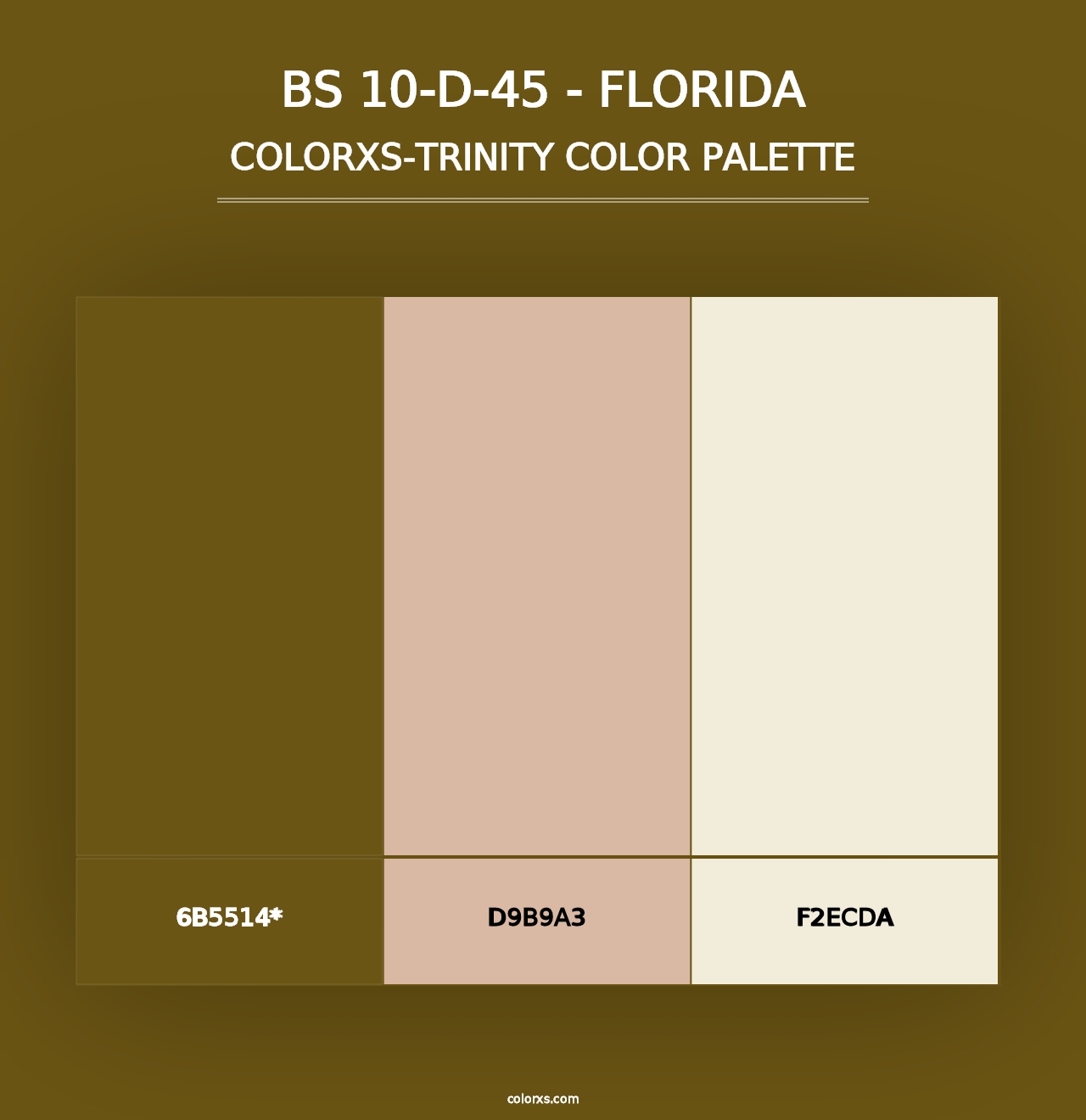 BS 10-D-45 - Florida - Colorxs Trinity Palette