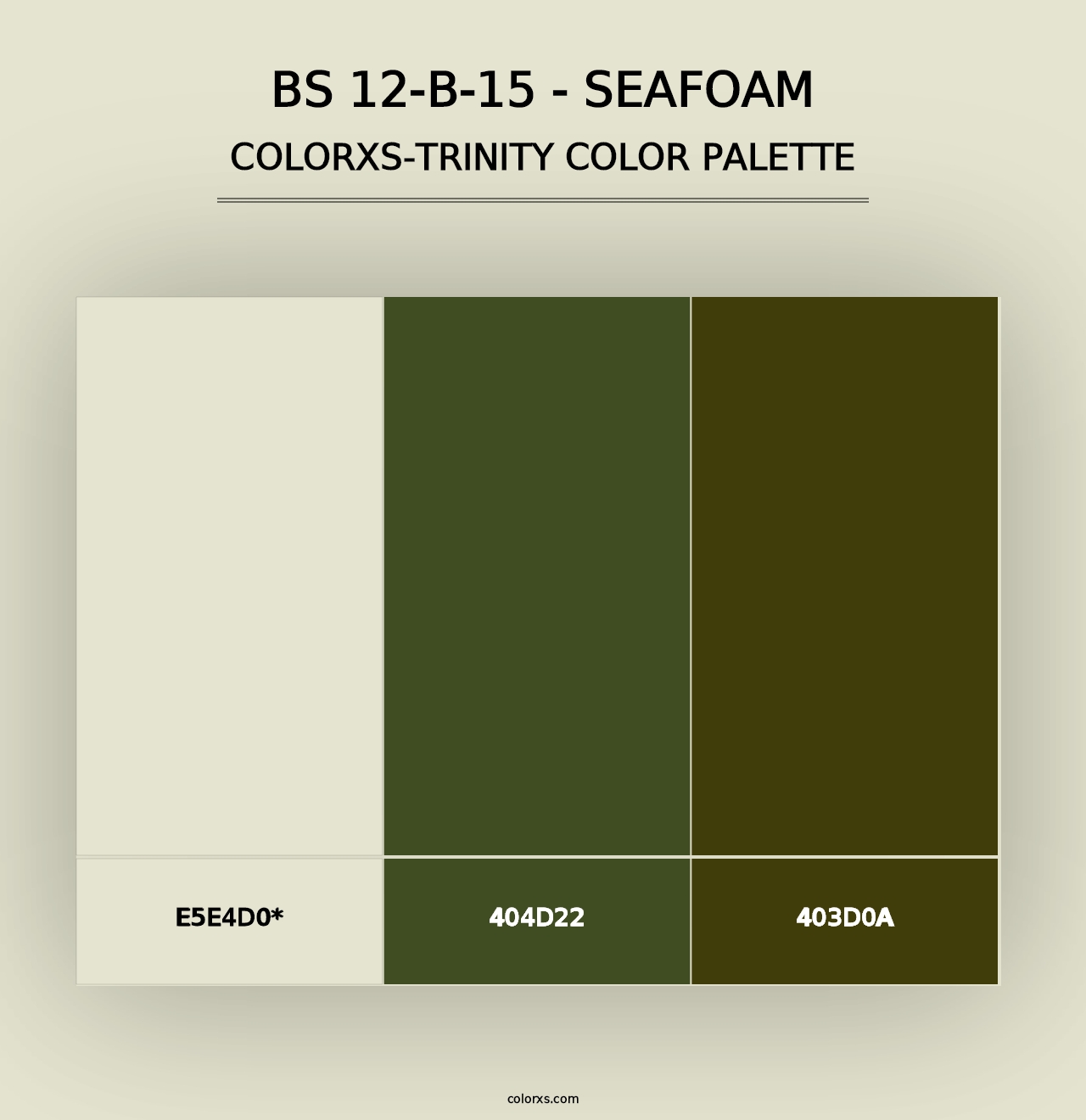 BS 12-B-15 - Seafoam - Colorxs Trinity Palette