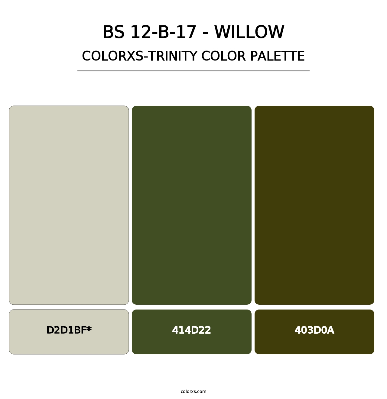 BS 12-B-17 - Willow - Colorxs Trinity Palette