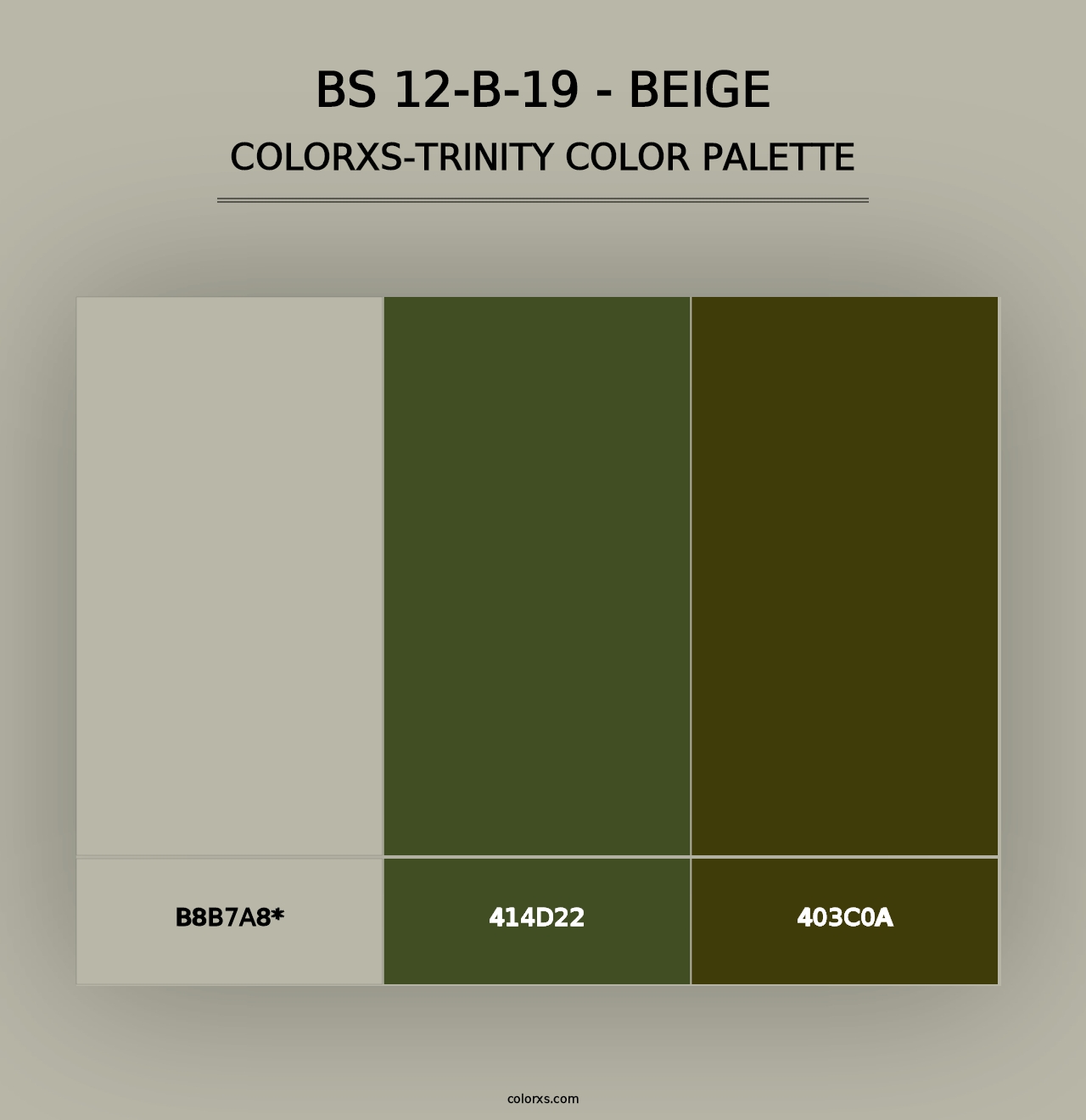 BS 12-B-19 - Beige - Colorxs Trinity Palette