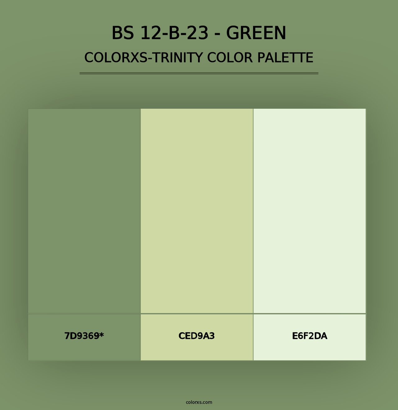 BS 12-B-23 - Green - Colorxs Trinity Palette