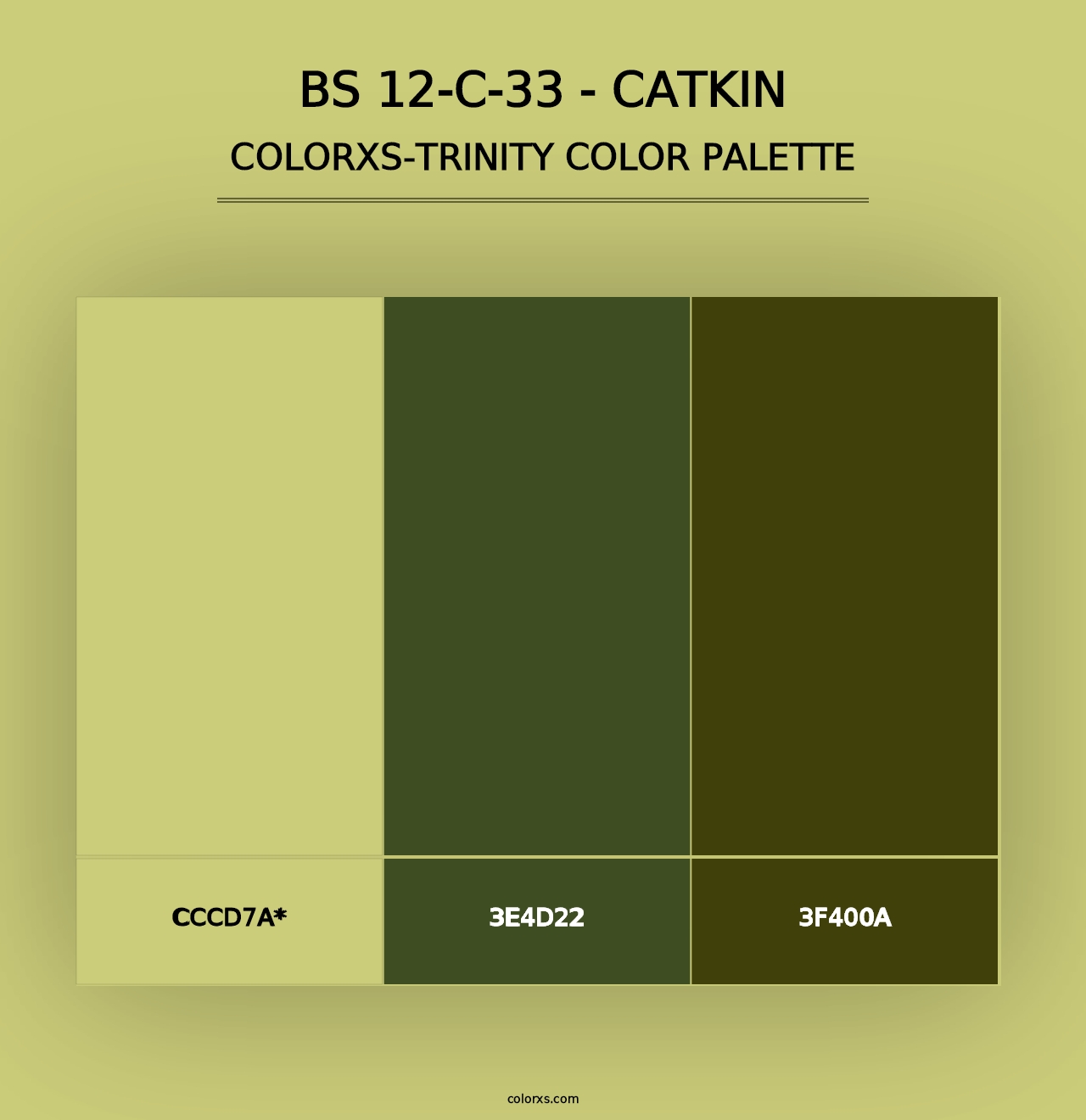 BS 12-C-33 - Catkin - Colorxs Trinity Palette