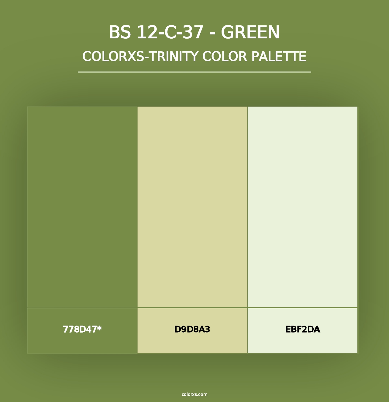 BS 12-C-37 - Green - Colorxs Trinity Palette