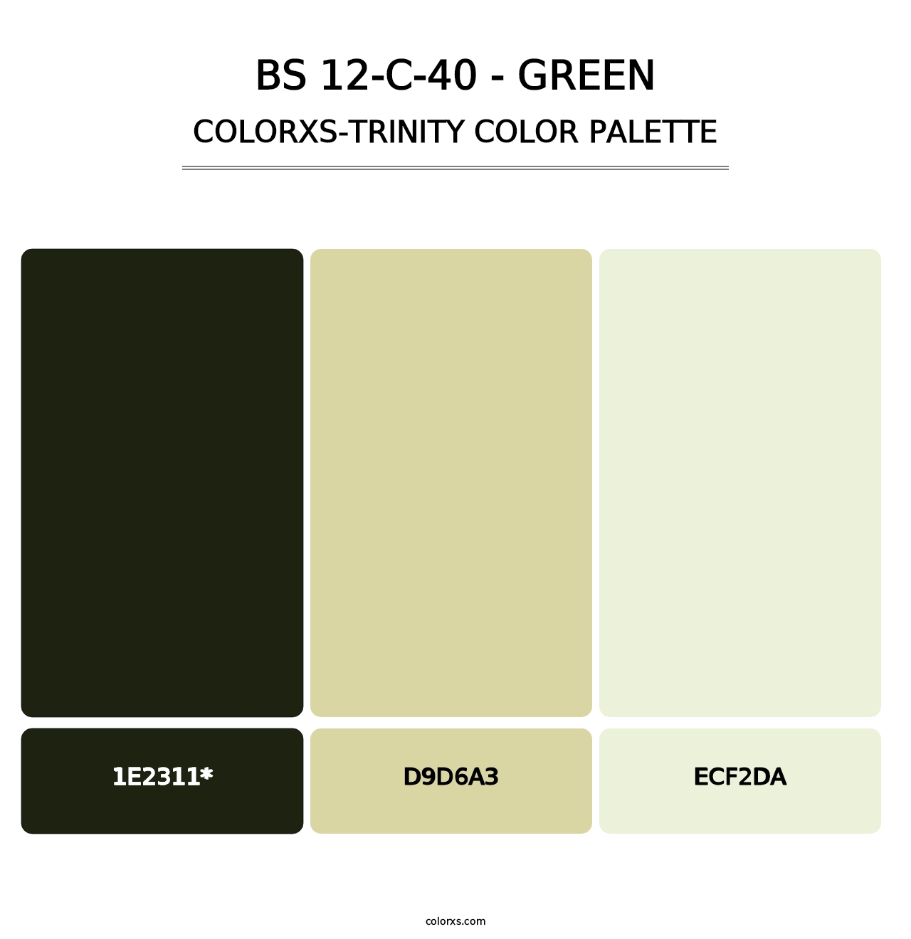 BS 12-C-40 - Green - Colorxs Trinity Palette