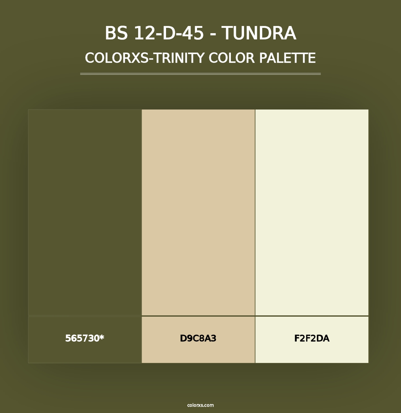 BS 12-D-45 - Tundra - Colorxs Trinity Palette