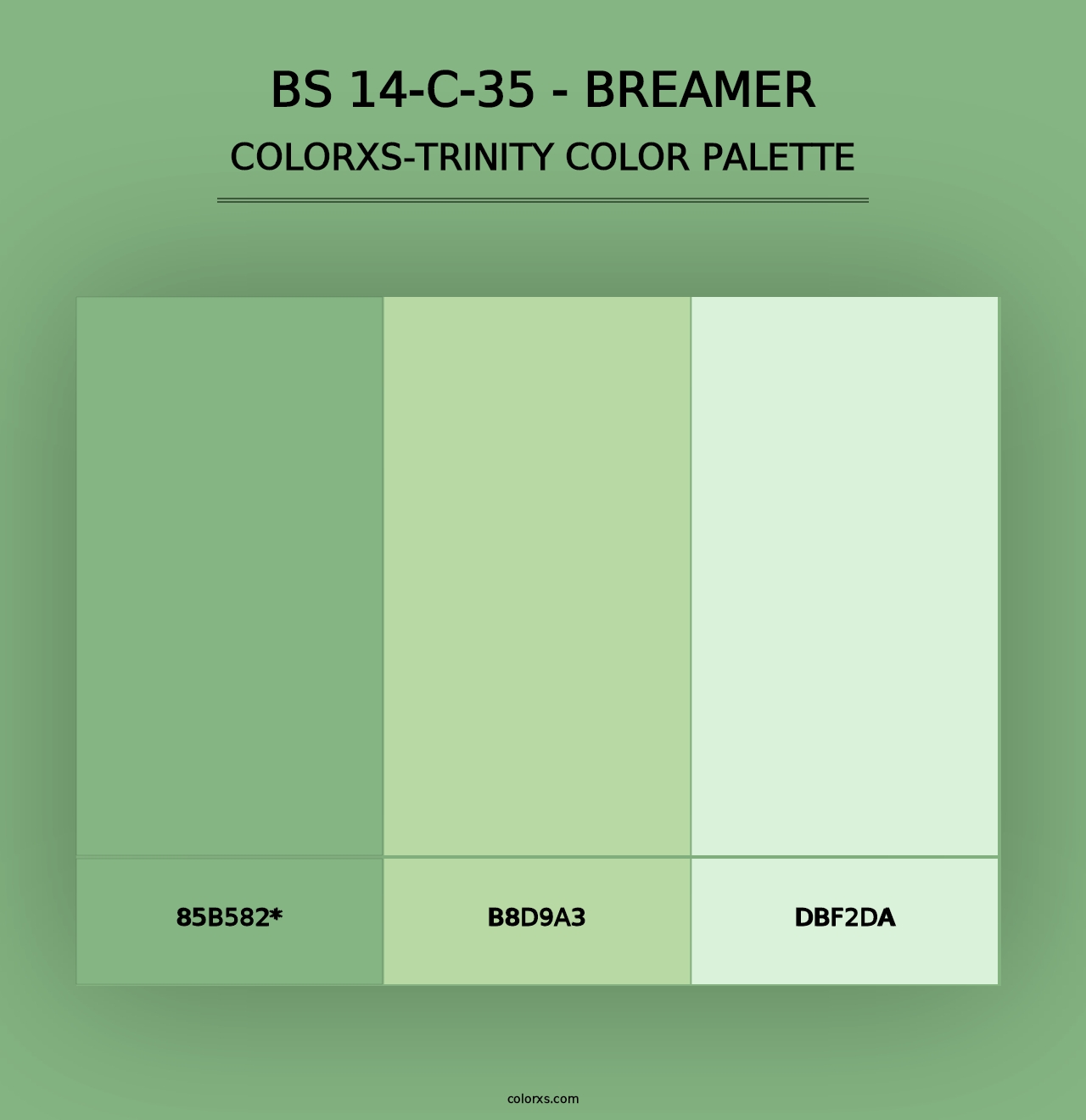 BS 14-C-35 - Breamer - Colorxs Trinity Palette