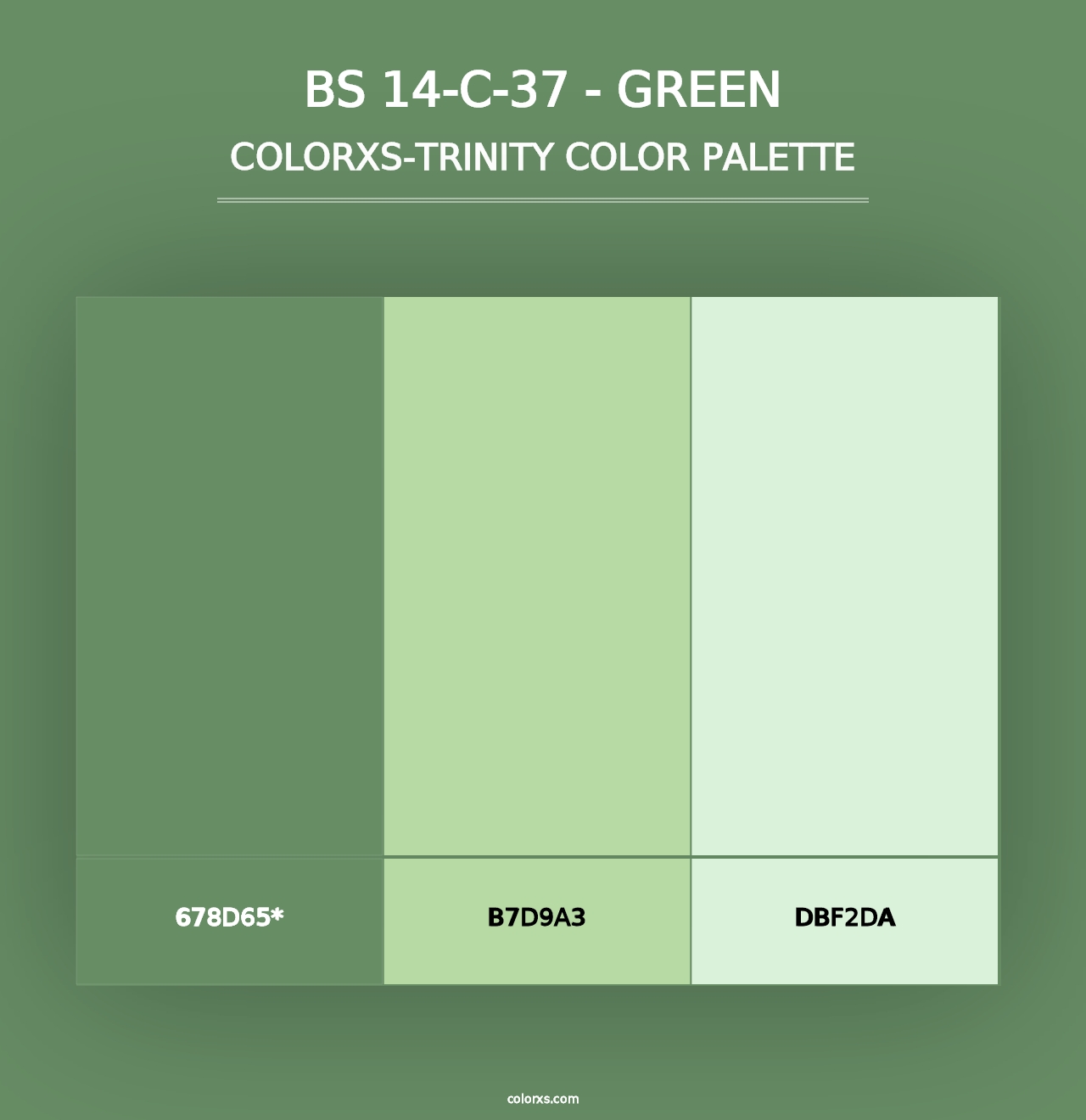 BS 14-C-37 - Green - Colorxs Trinity Palette