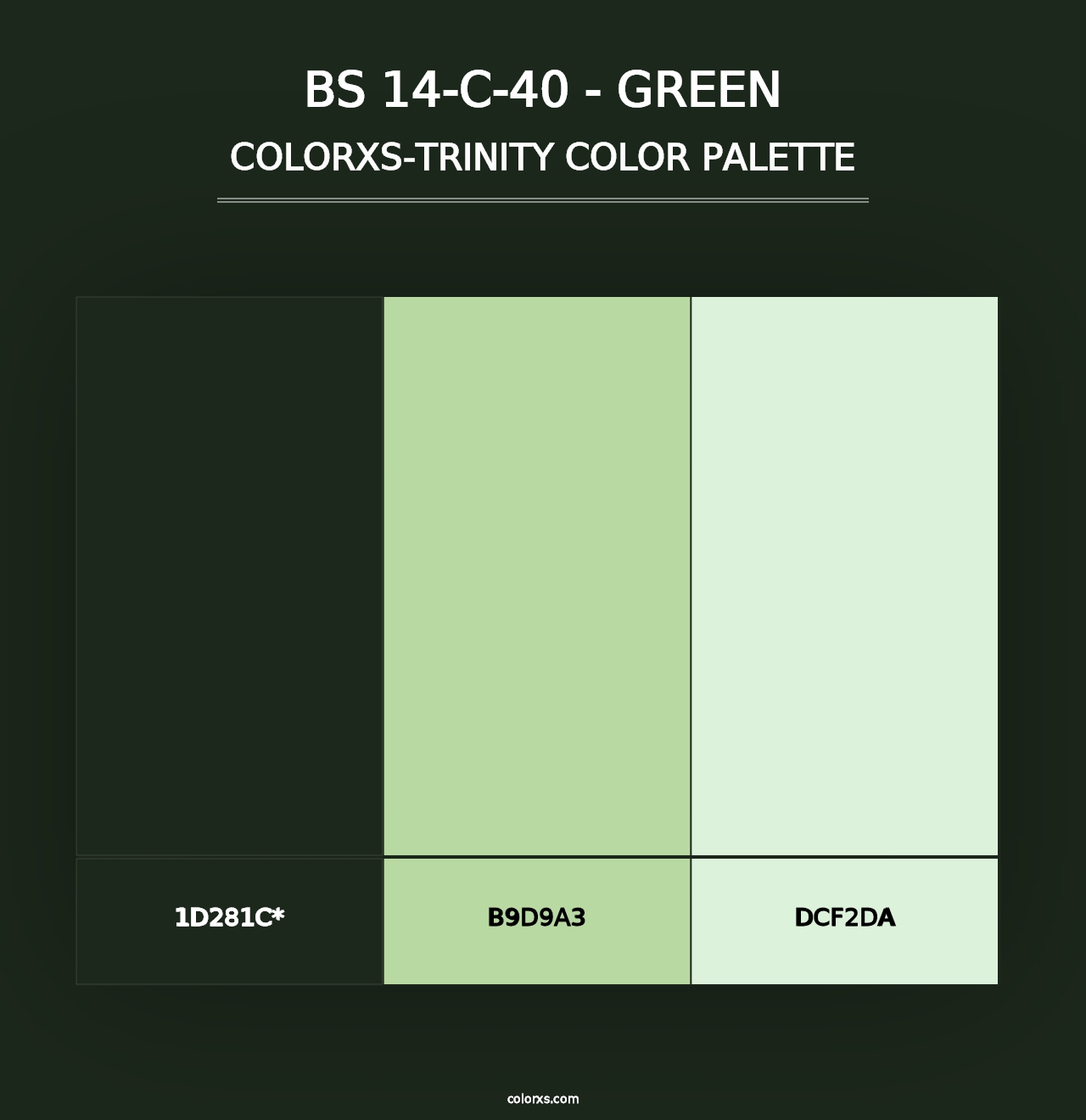 BS 14-C-40 - Green - Colorxs Trinity Palette