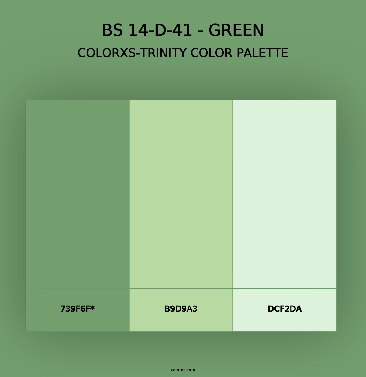 BS 14-D-41 - Green - Colorxs Trinity Palette