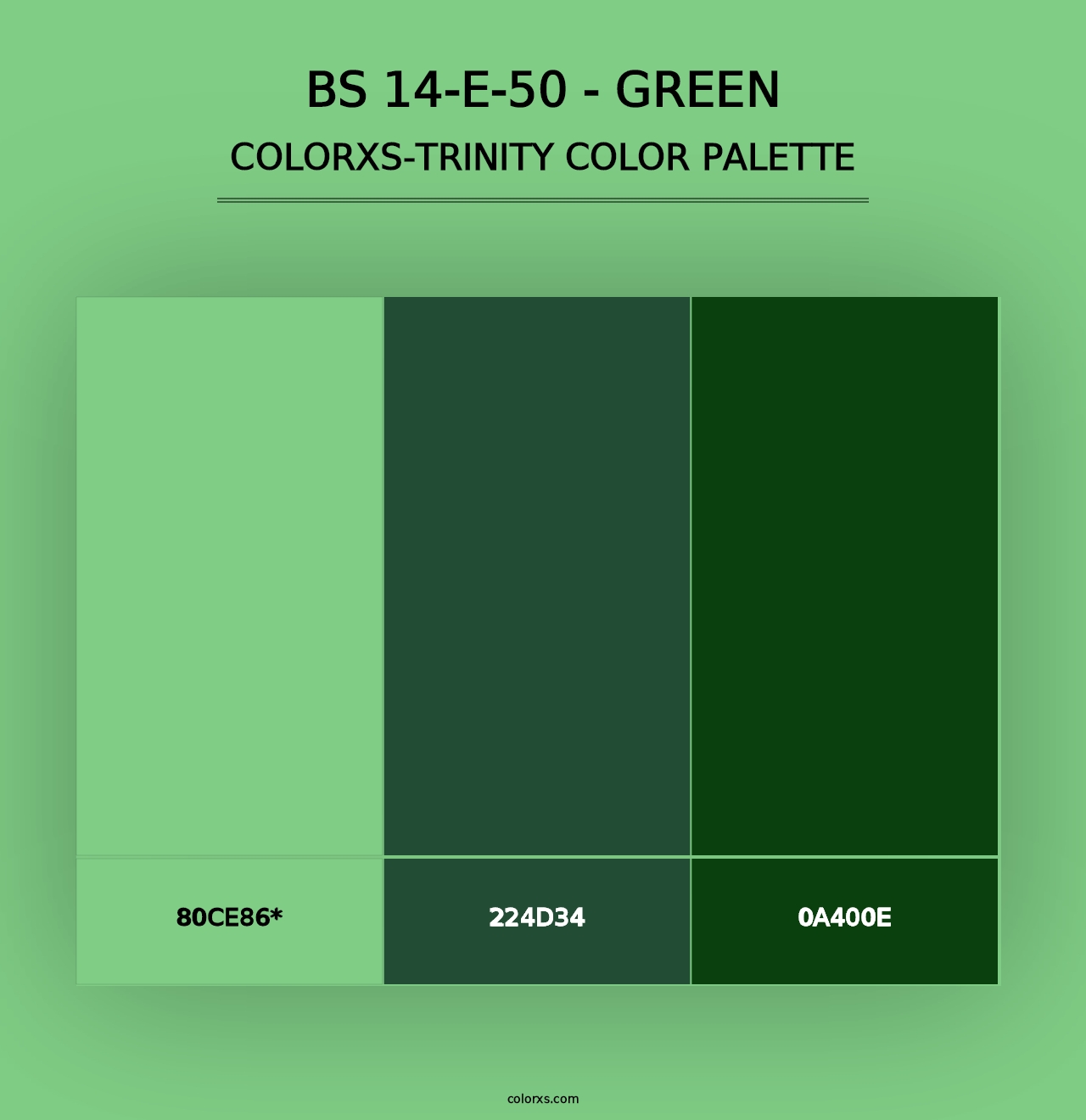 BS 14-E-50 - Green - Colorxs Trinity Palette