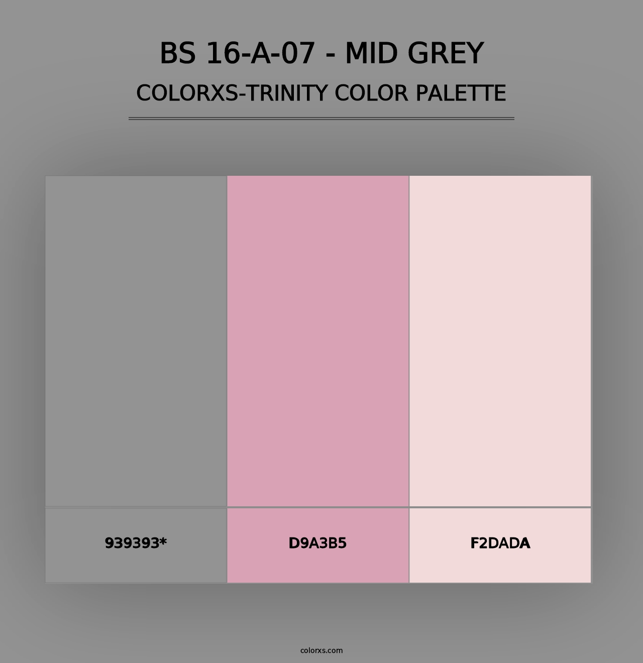 BS 16-A-07 - Mid Grey - Colorxs Trinity Palette