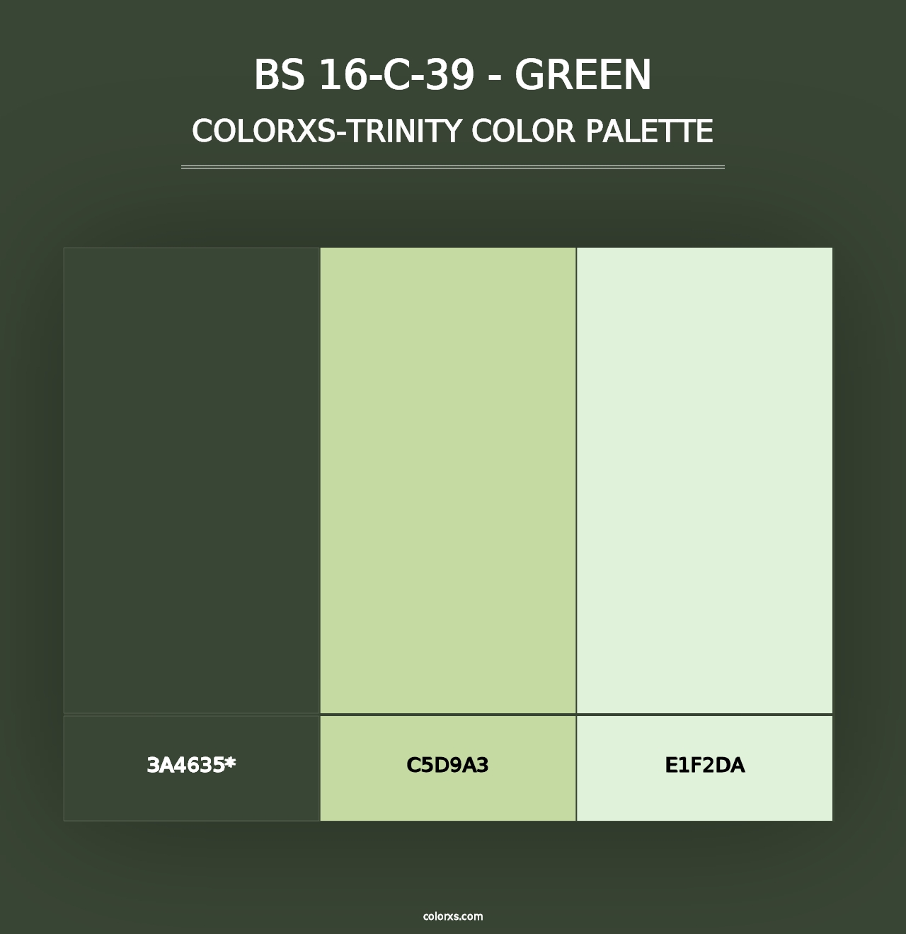 BS 16-C-39 - Green - Colorxs Trinity Palette