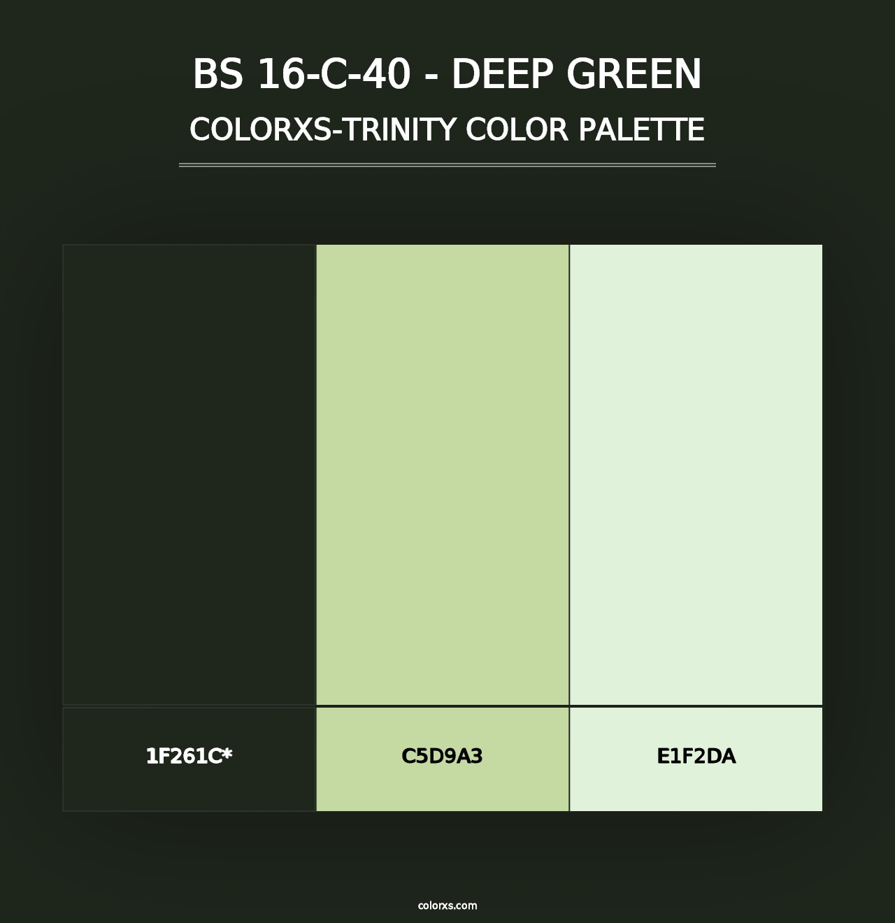 BS 16-C-40 - Deep Green - Colorxs Trinity Palette