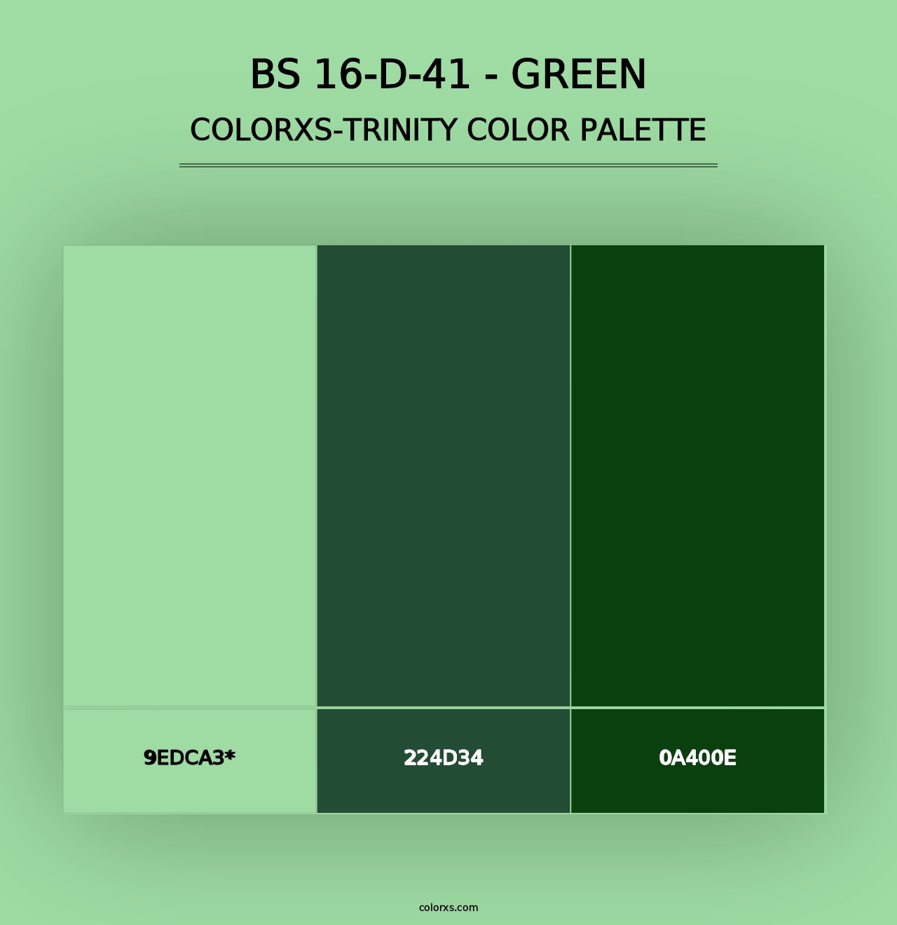 BS 16-D-41 - Green - Colorxs Trinity Palette