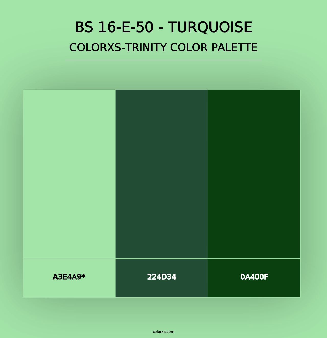 BS 16-E-50 - Turquoise - Colorxs Trinity Palette