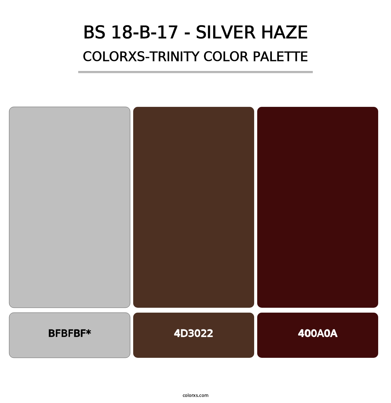 BS 18-B-17 - Silver Haze - Colorxs Trinity Palette