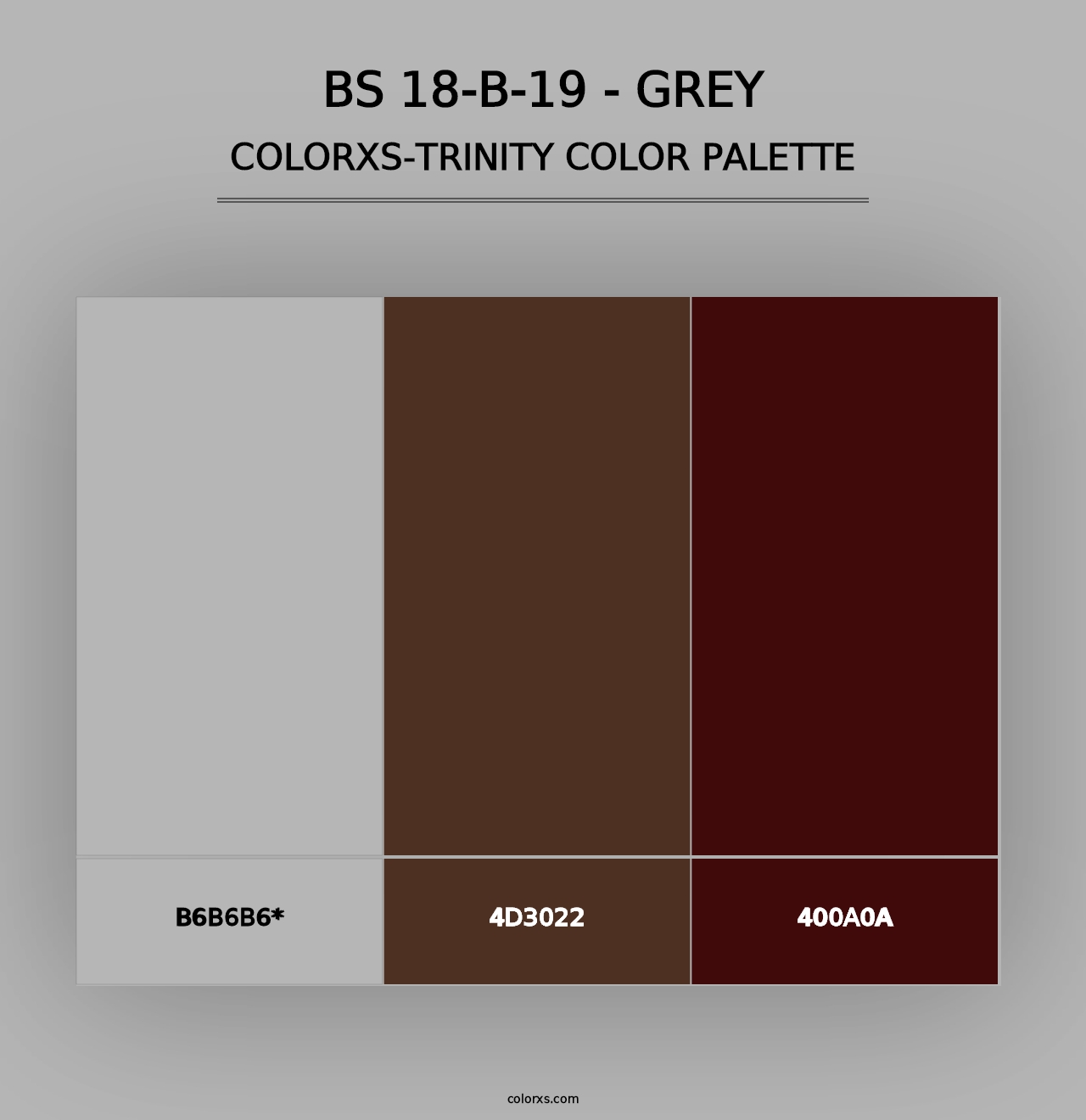 BS 18-B-19 - Grey - Colorxs Trinity Palette