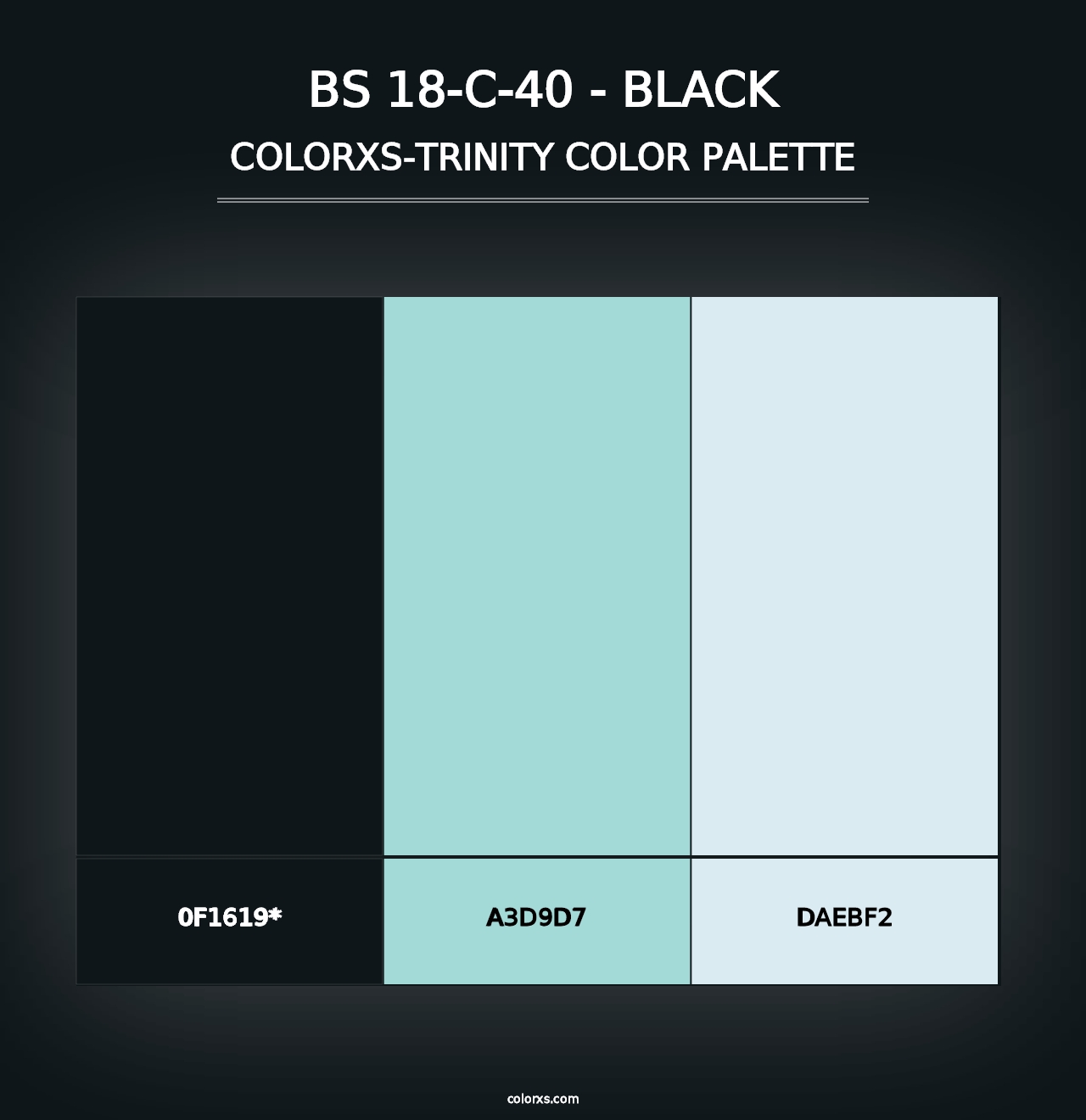 BS 18-C-40 - Black - Colorxs Trinity Palette