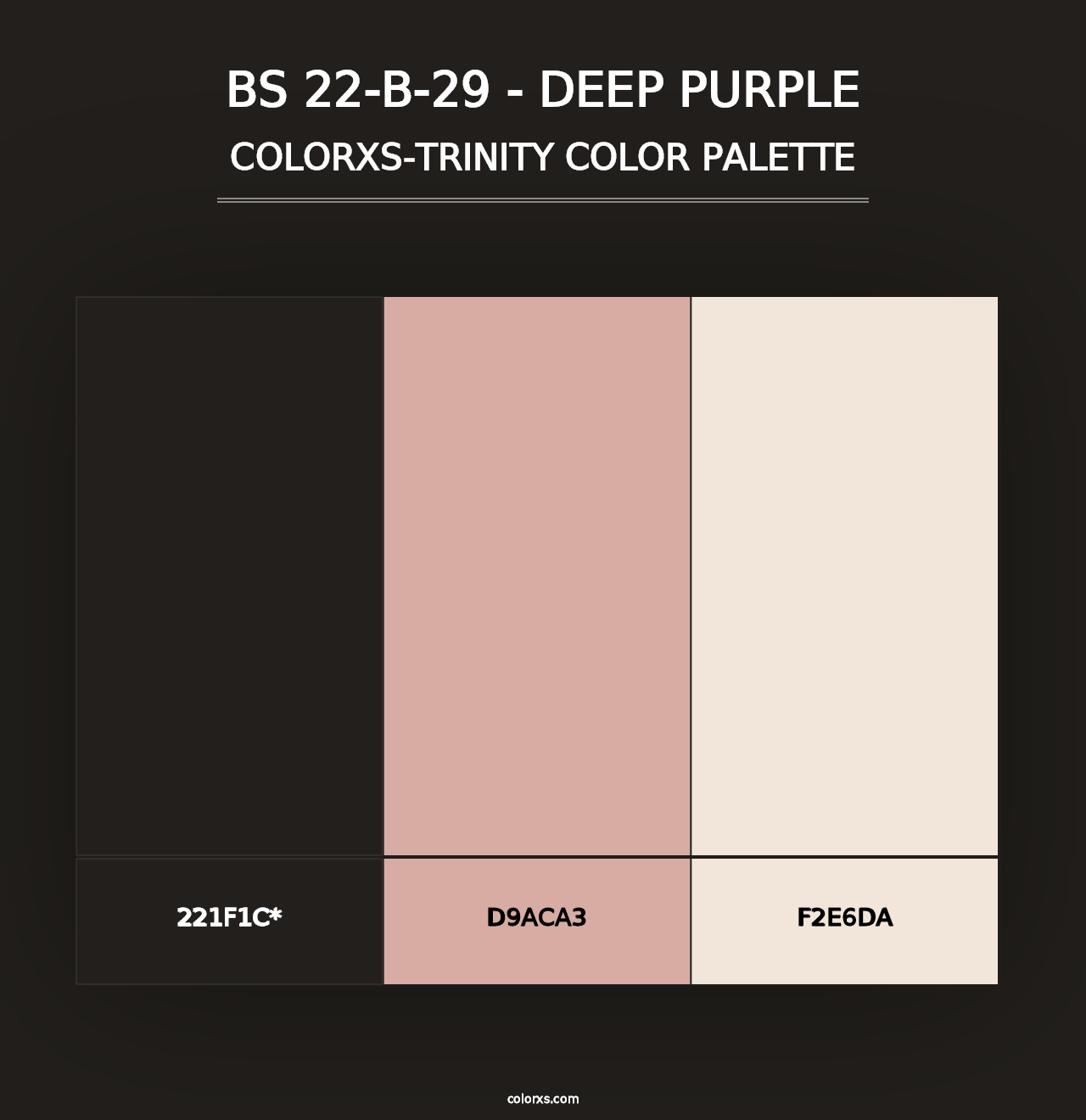 BS 22-B-29 - Deep Purple - Colorxs Trinity Palette