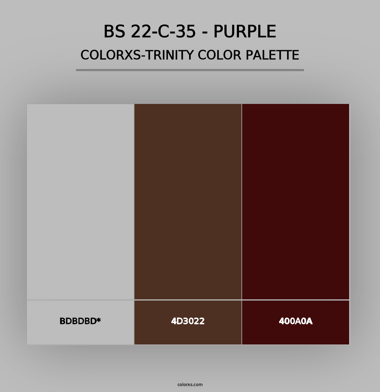 BS 22-C-35 - Purple - Colorxs Trinity Palette