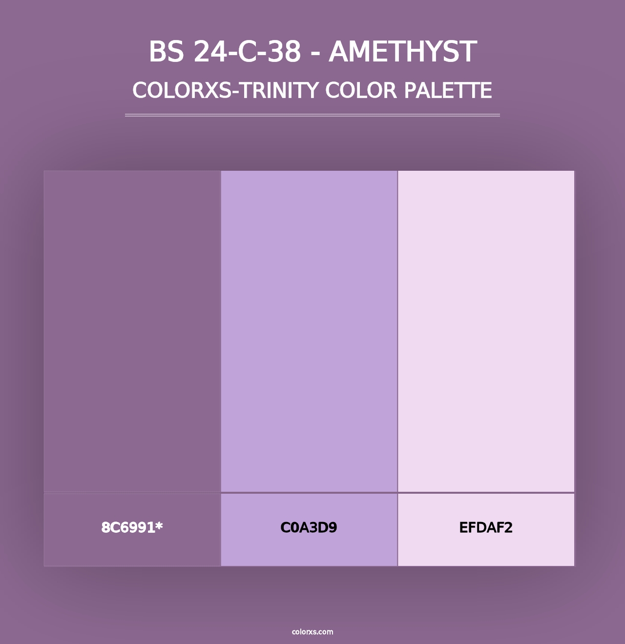 BS 24-C-38 - Amethyst - Colorxs Trinity Palette