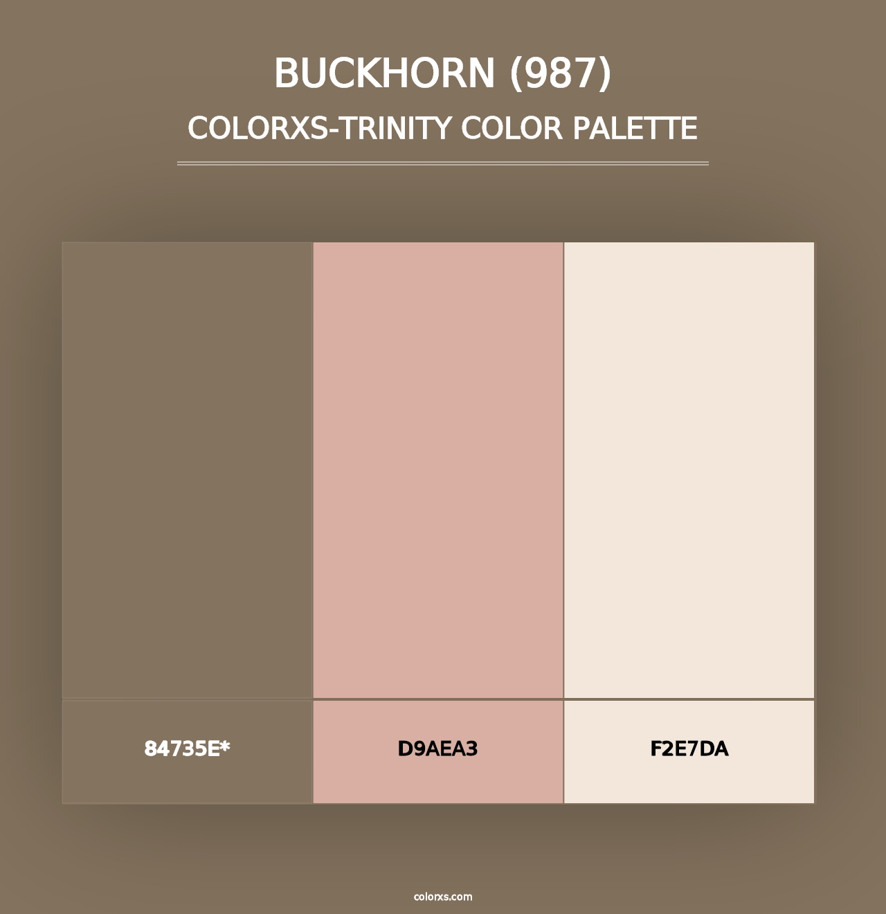 Buckhorn (987) - Colorxs Trinity Palette