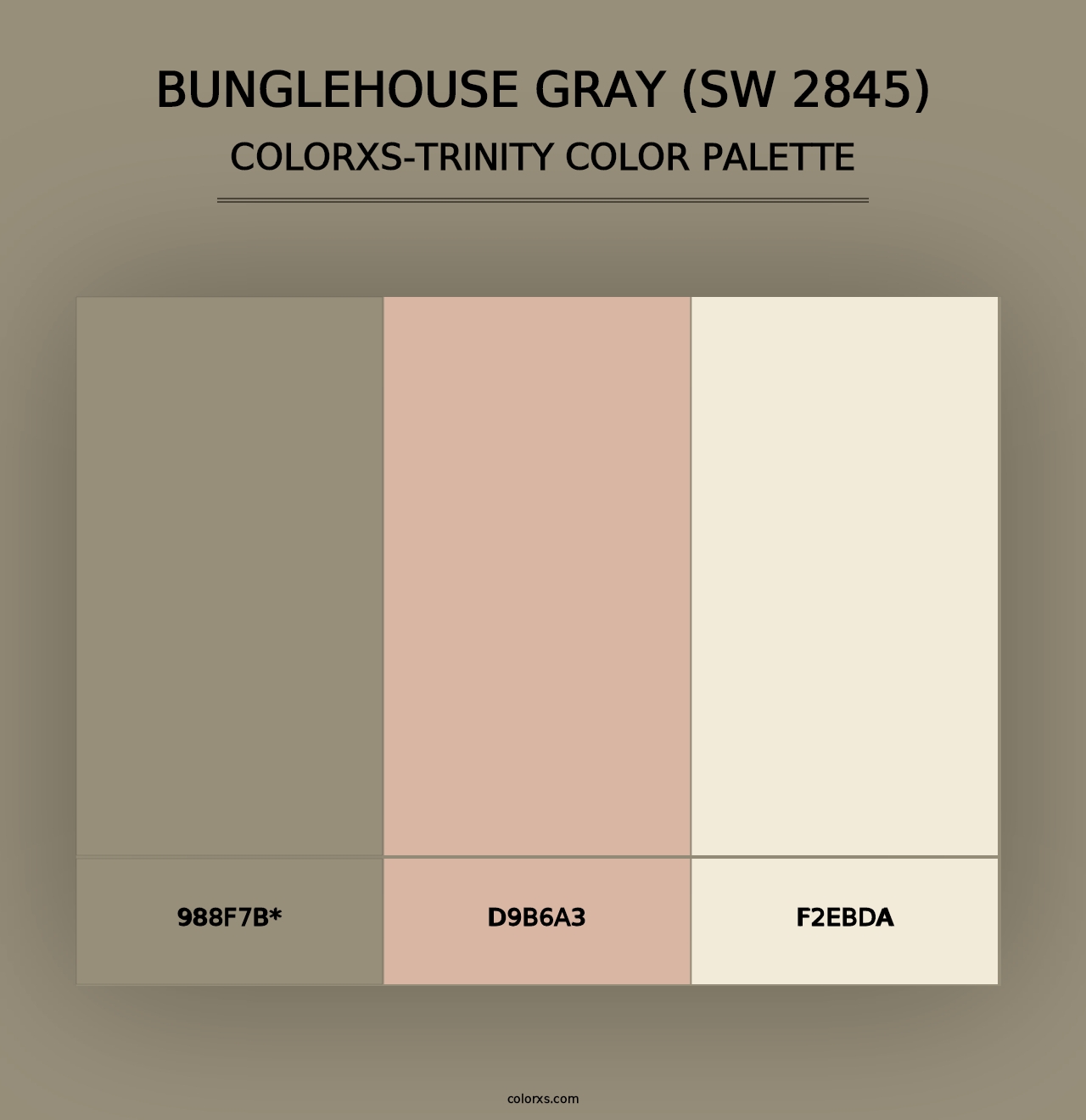 Bunglehouse Gray (SW 2845) - Colorxs Trinity Palette