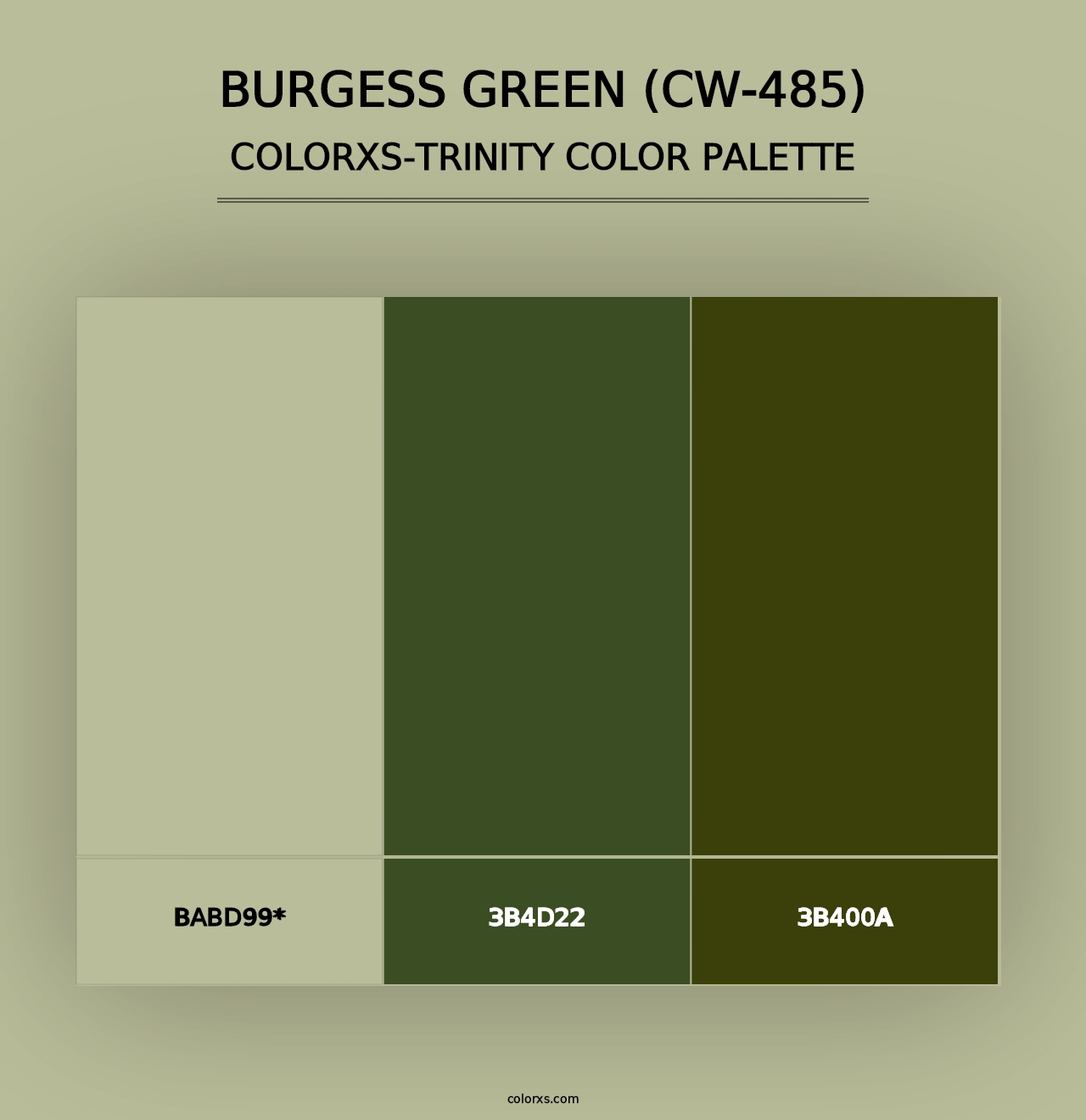 Burgess Green (CW-485) - Colorxs Trinity Palette