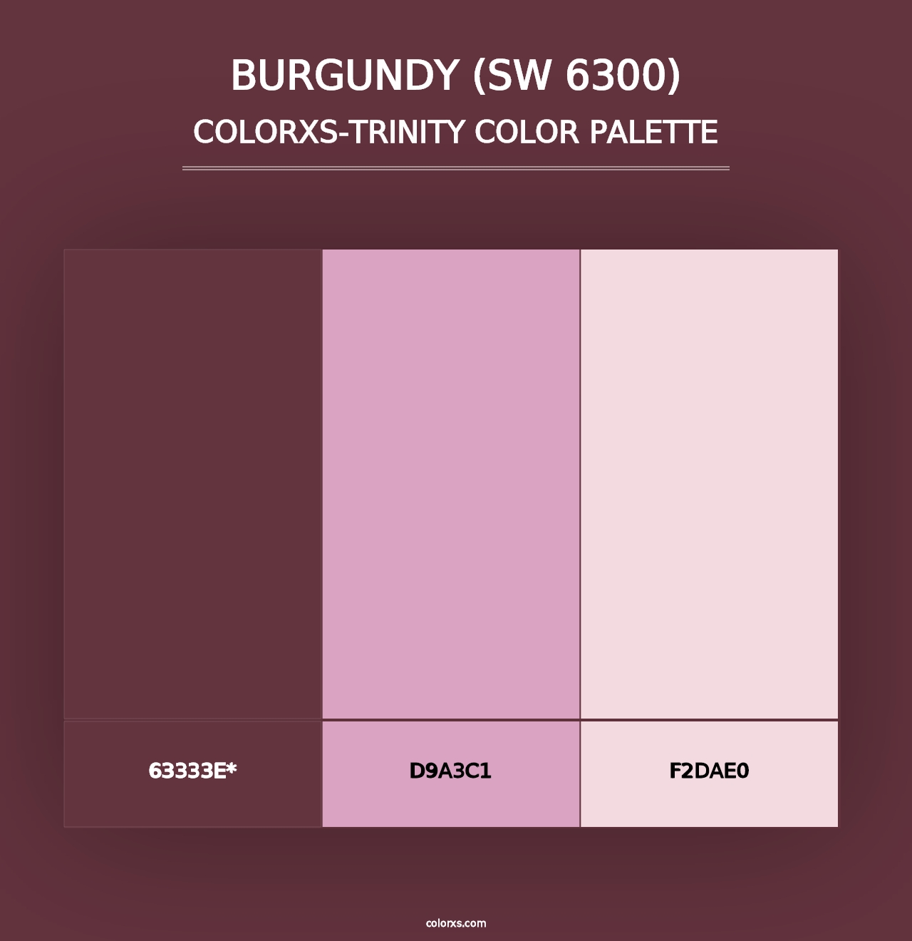 Burgundy (SW 6300) - Colorxs Trinity Palette