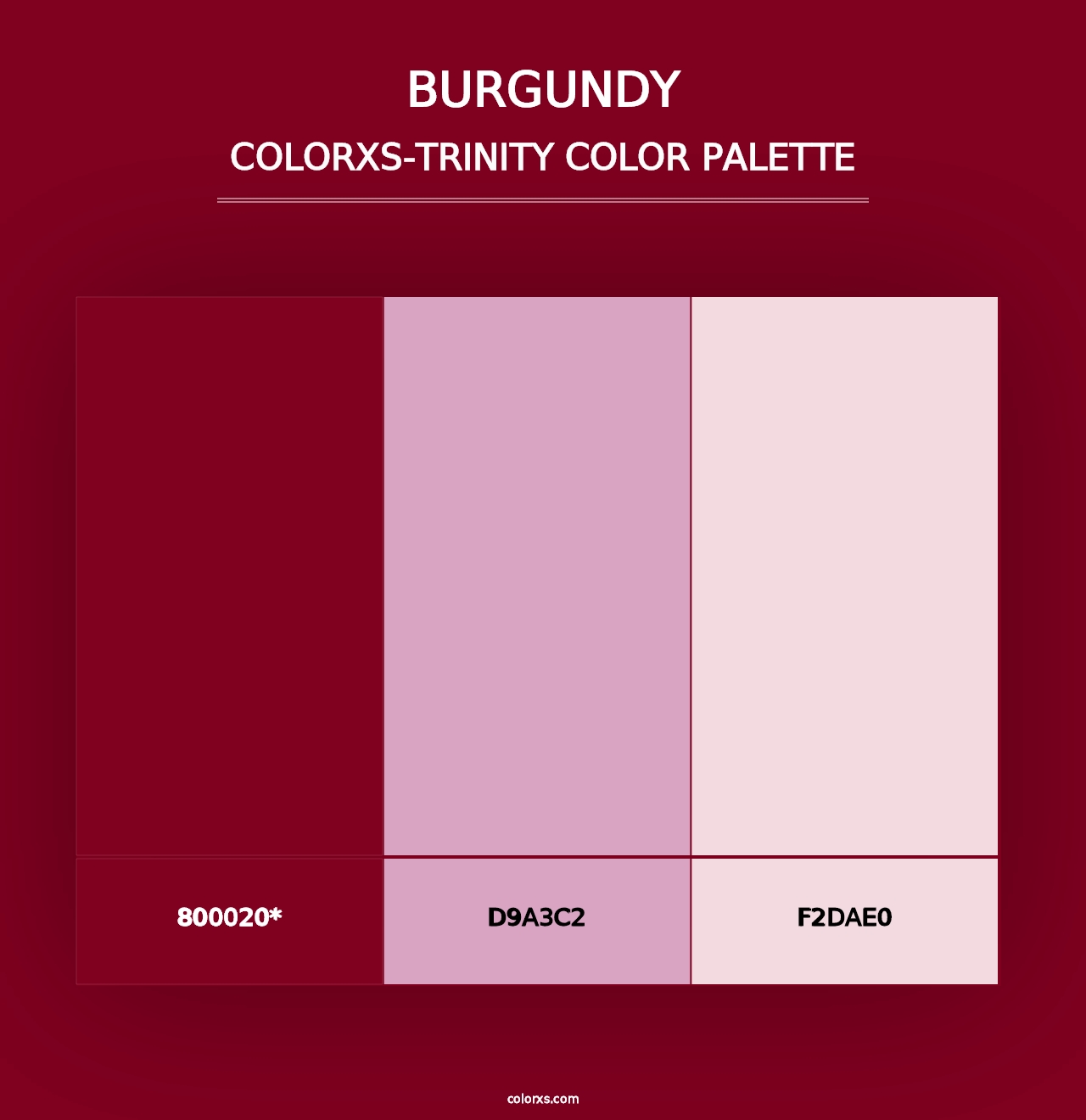 Burgundy - Colorxs Trinity Palette