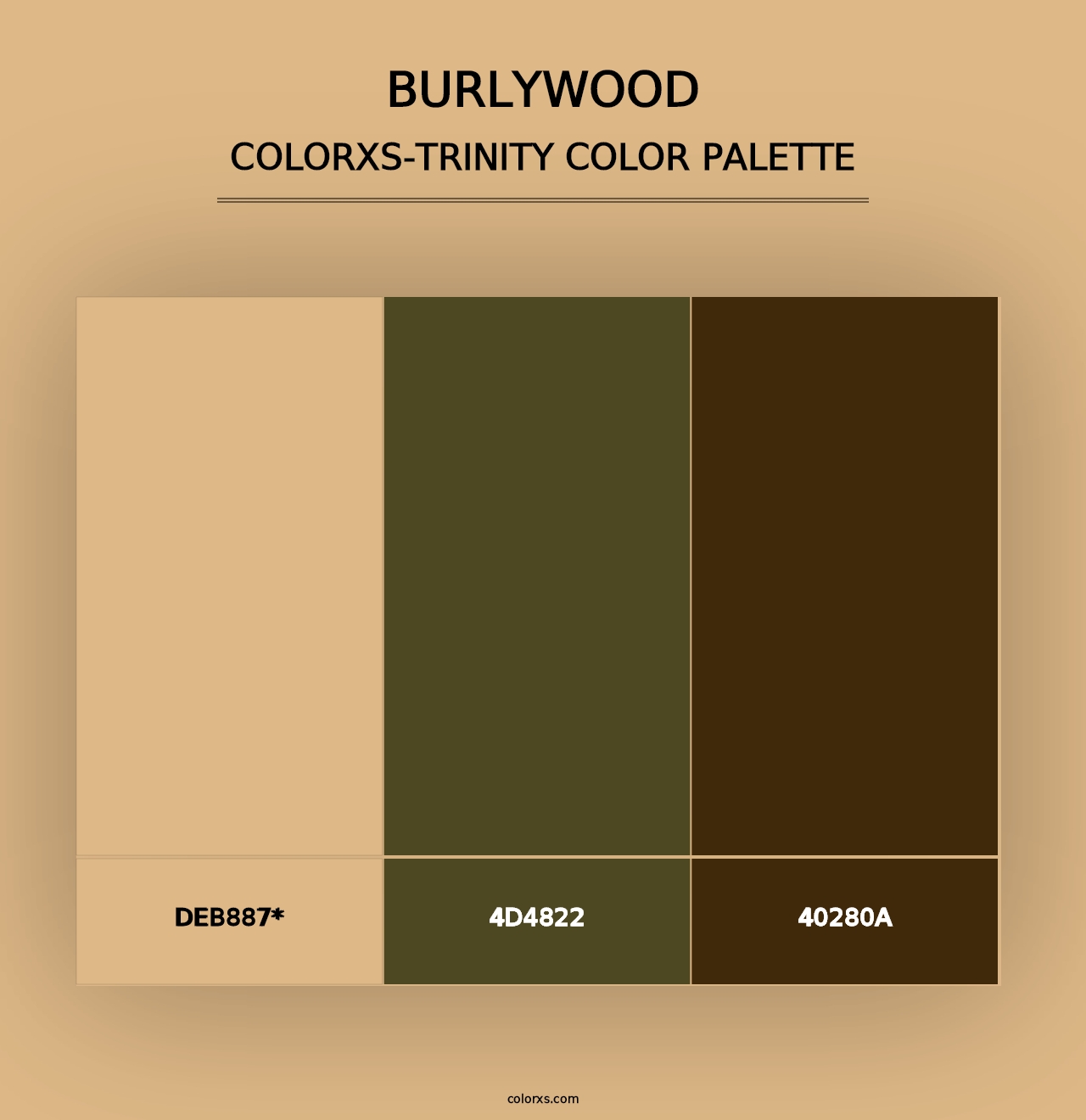 Burlywood - Colorxs Trinity Palette