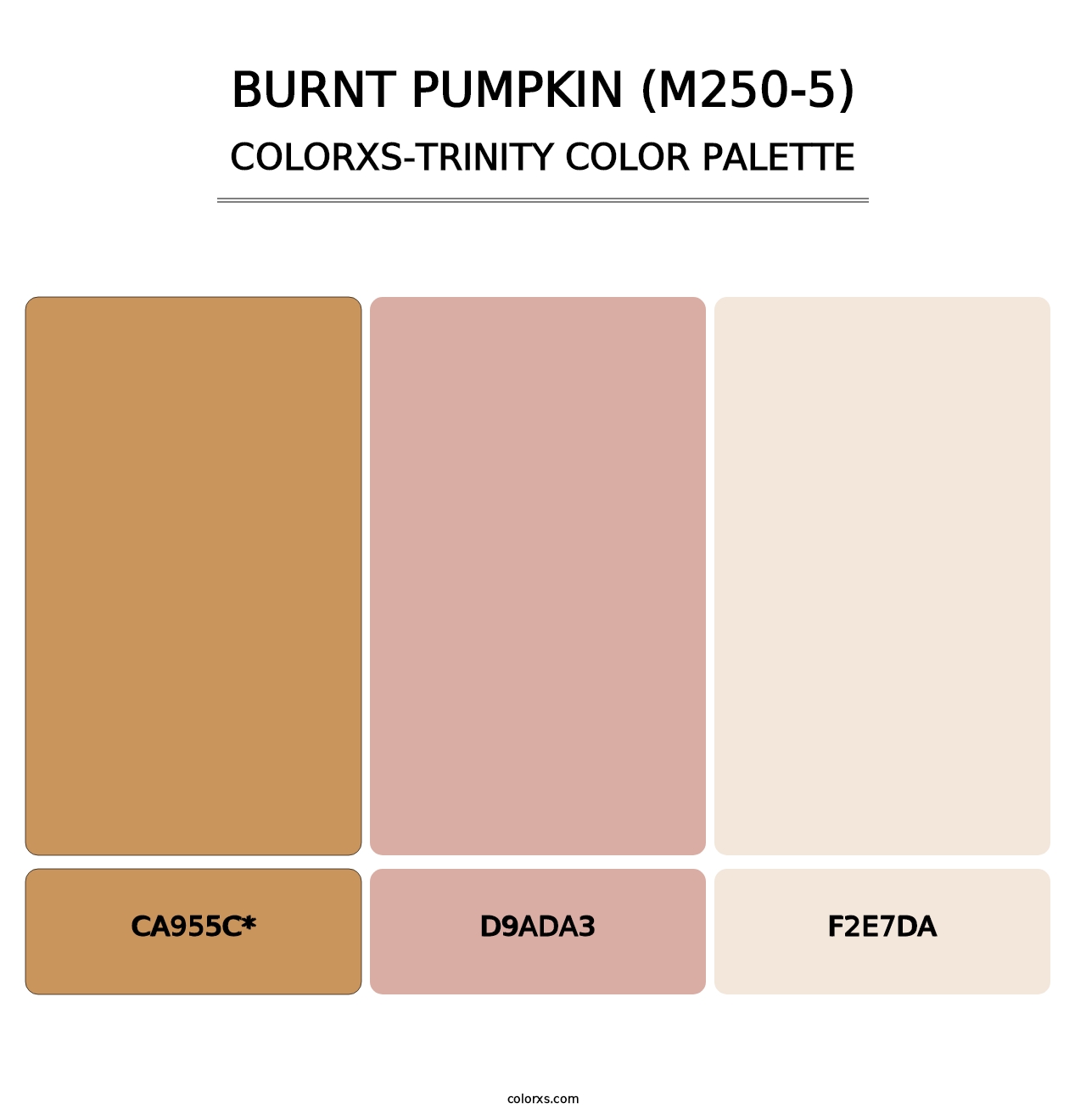 Burnt Pumpkin (M250-5) - Colorxs Trinity Palette