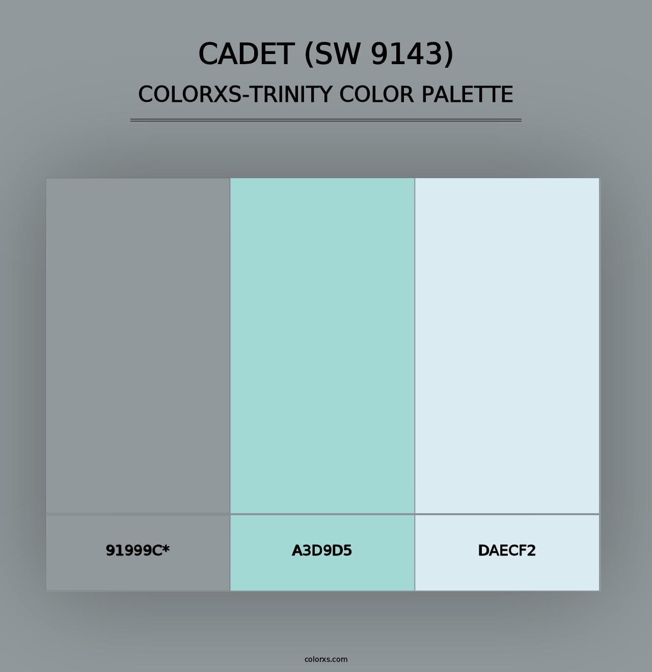 Cadet (SW 9143) - Colorxs Trinity Palette