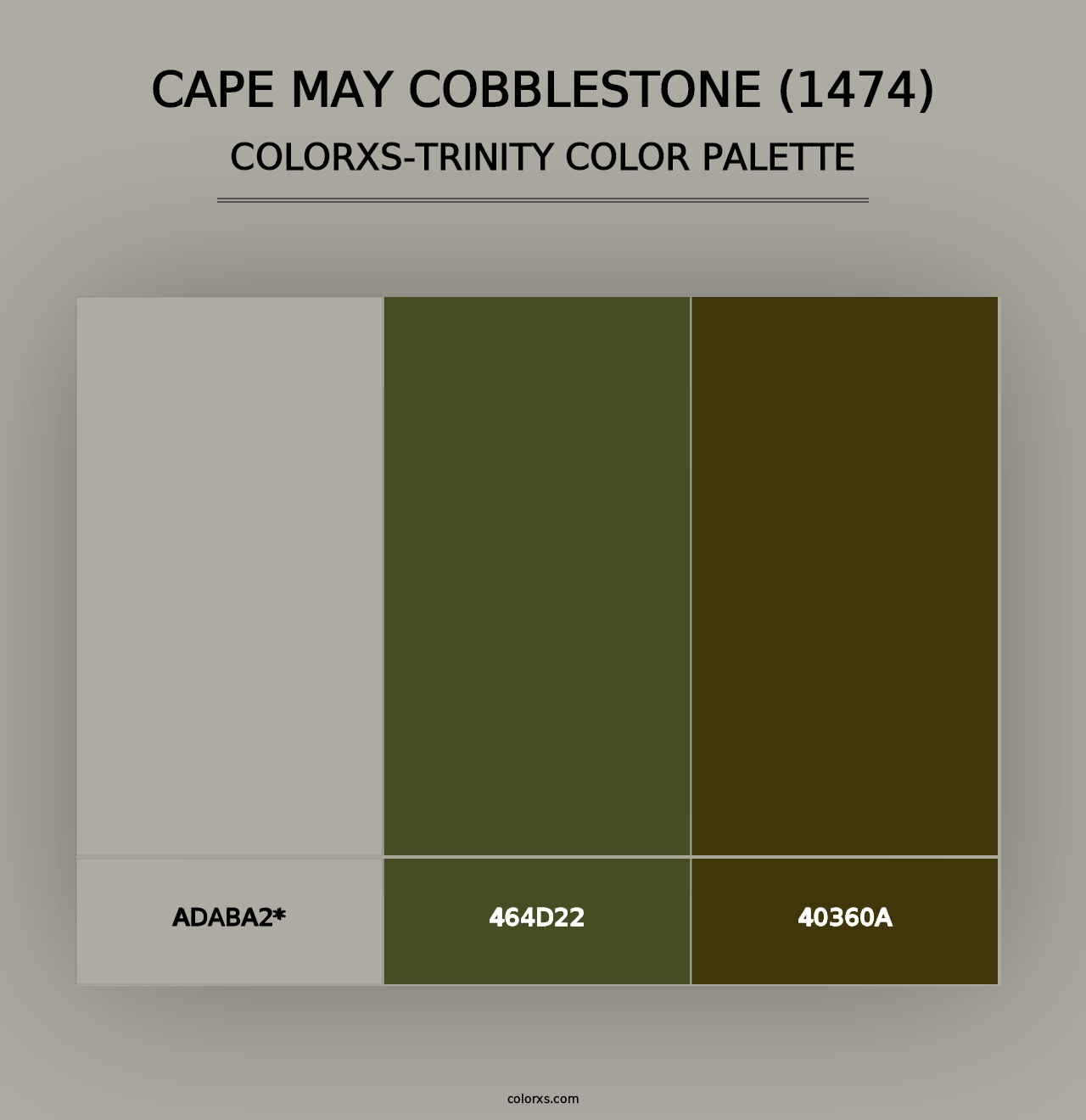 Cape May Cobblestone (1474) - Colorxs Trinity Palette