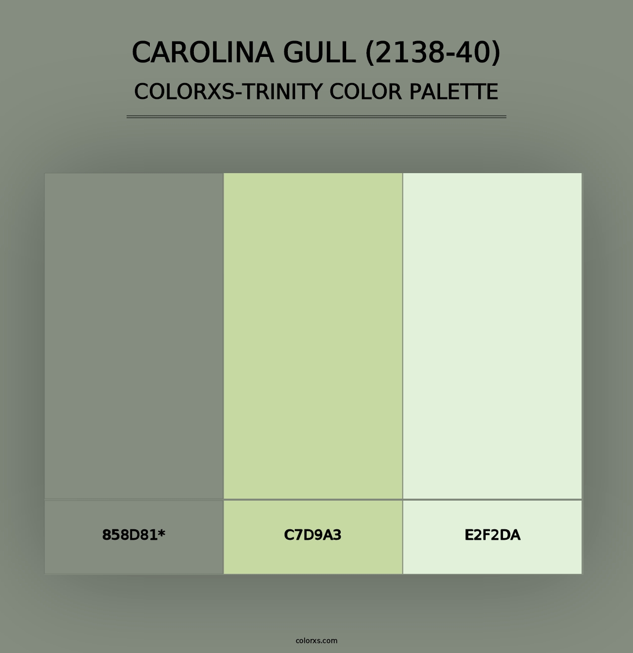 Carolina Gull (2138-40) - Colorxs Trinity Palette