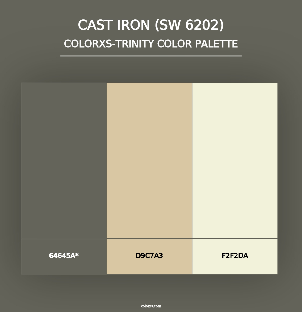 Cast Iron (SW 6202) - Colorxs Trinity Palette