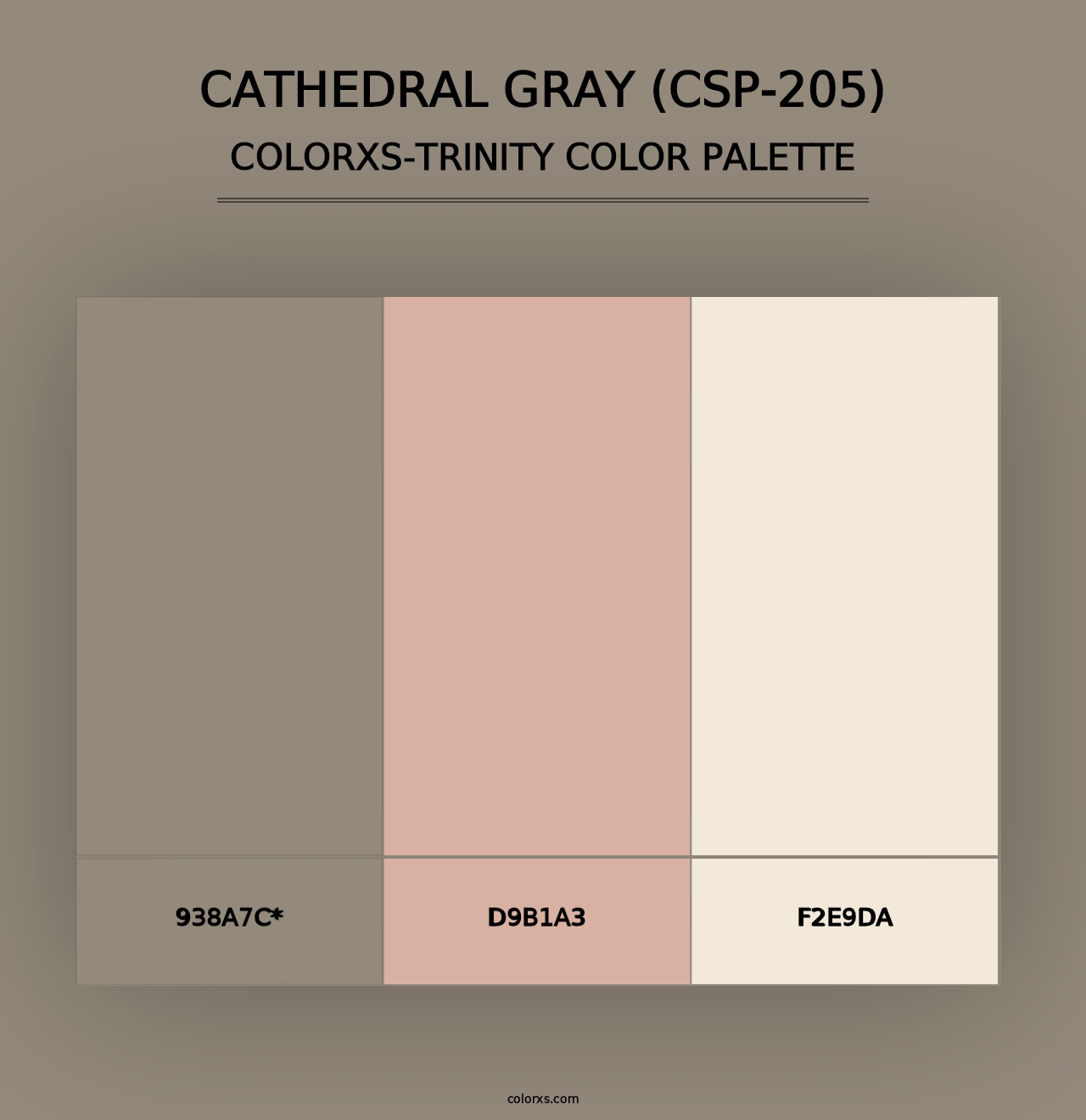 Cathedral Gray (CSP-205) - Colorxs Trinity Palette